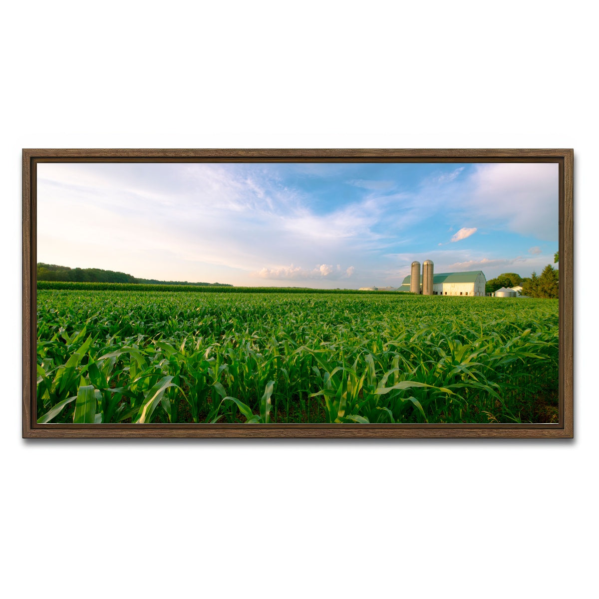 AUTO-MOCKUP WHITE | Wisconsin Dairy Farm by Field of Corn | 1 Piece | Walnut Framed Canvas | group=2x1