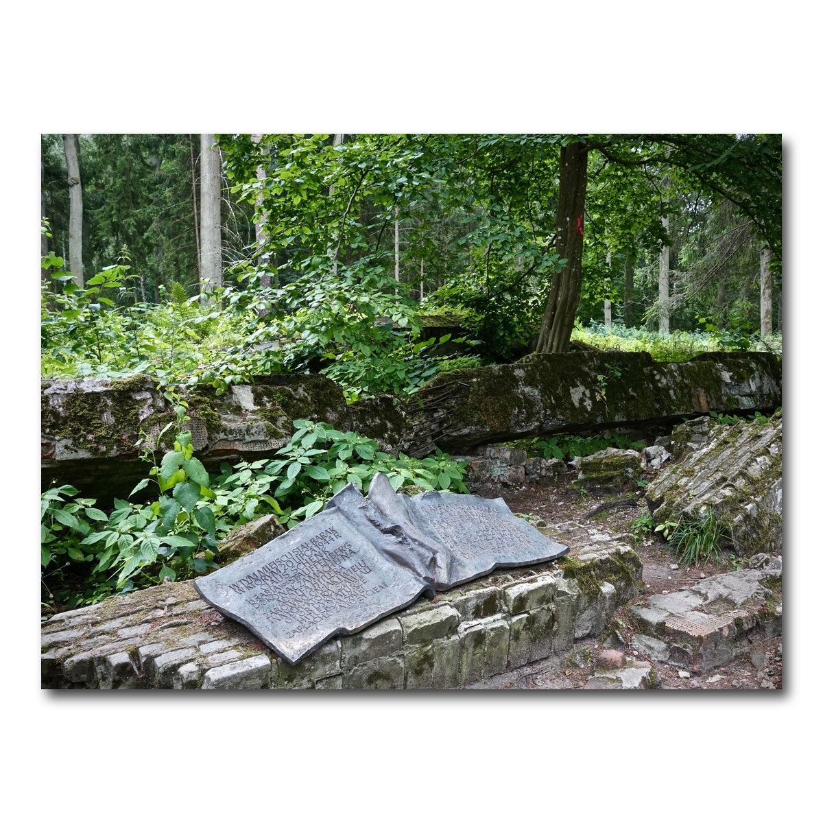 AUTO-MOCKUP WHITE | Wolf's Lair - Stauffenberg Bomb site | 1 Piece | Gallery Wrap Canvas | group=4x3