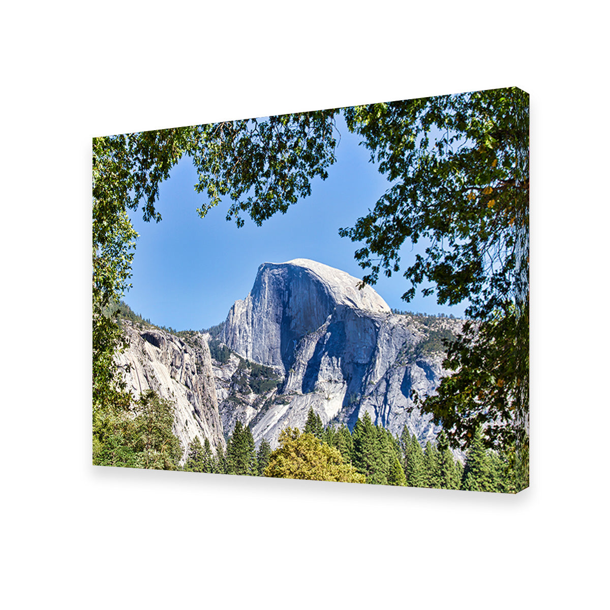 YOSEMITE VALLEY Half Dome Wall Art