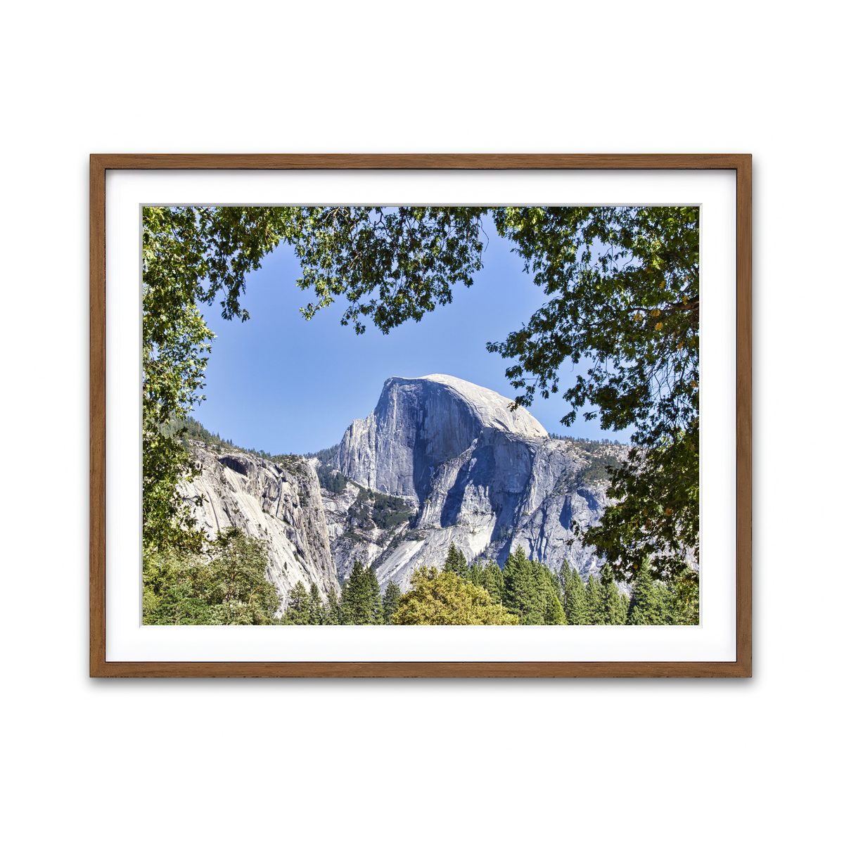 Framed Print 4x3 Walnut
