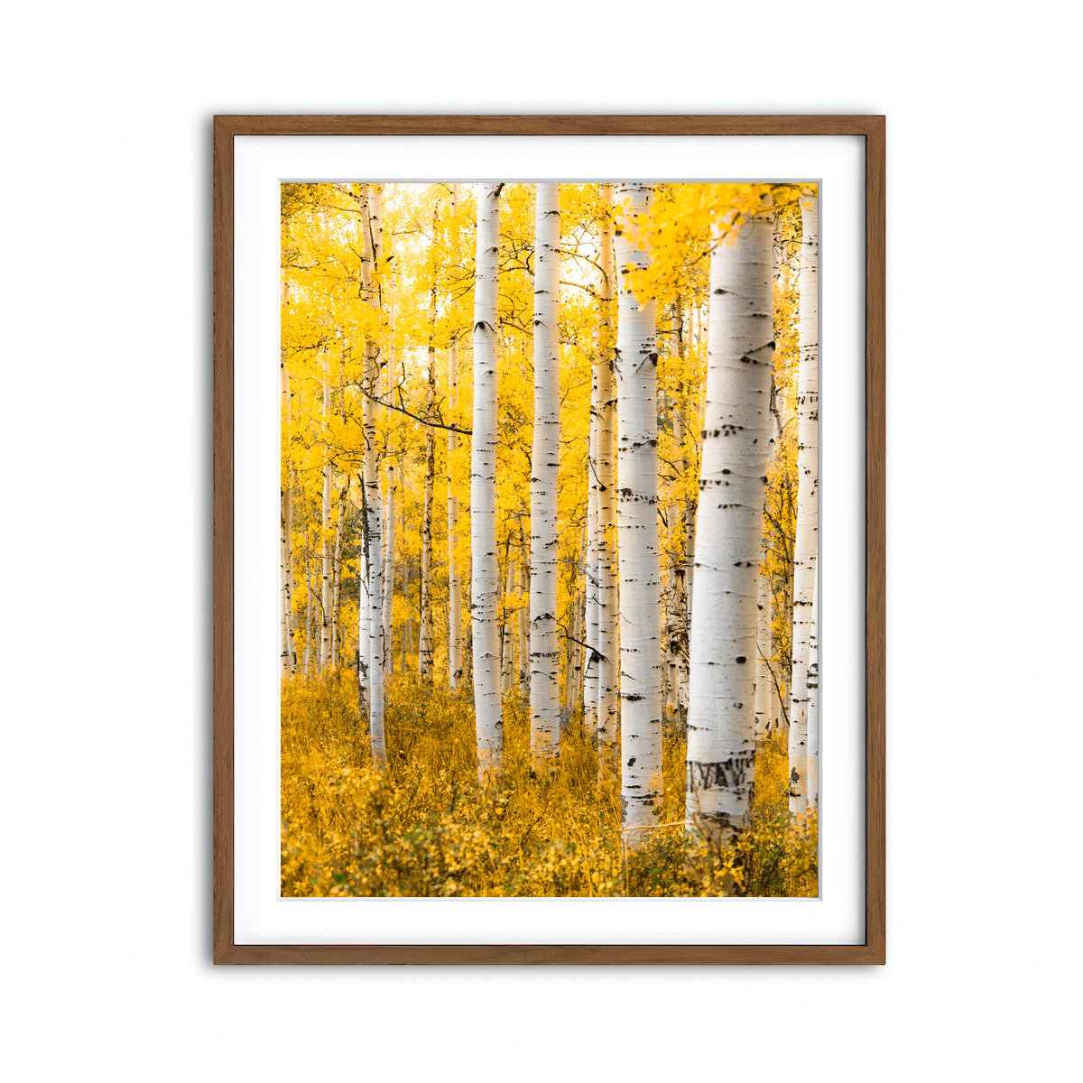 Framed Print 3x4 Walnut