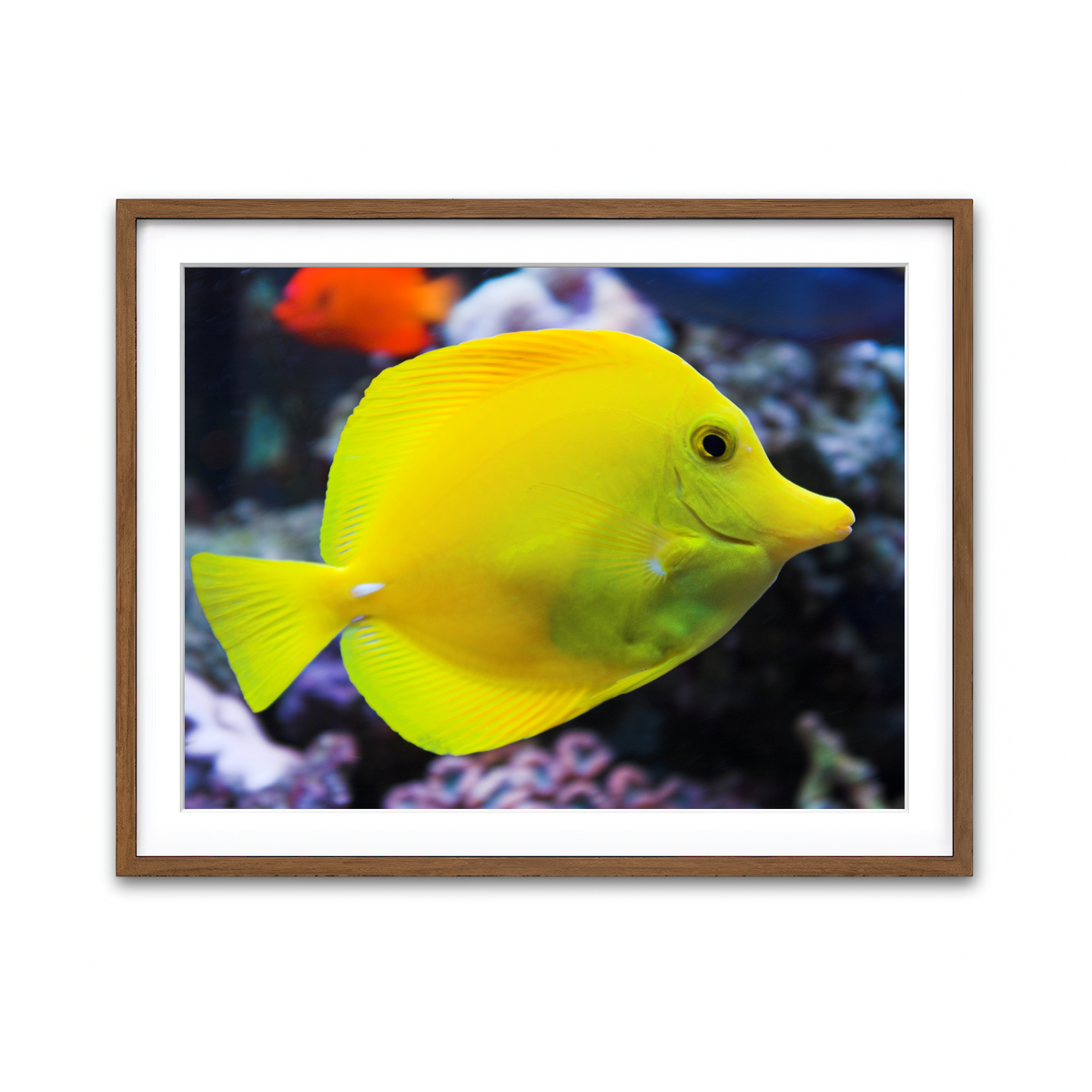 Framed Print 4x3 Walnut