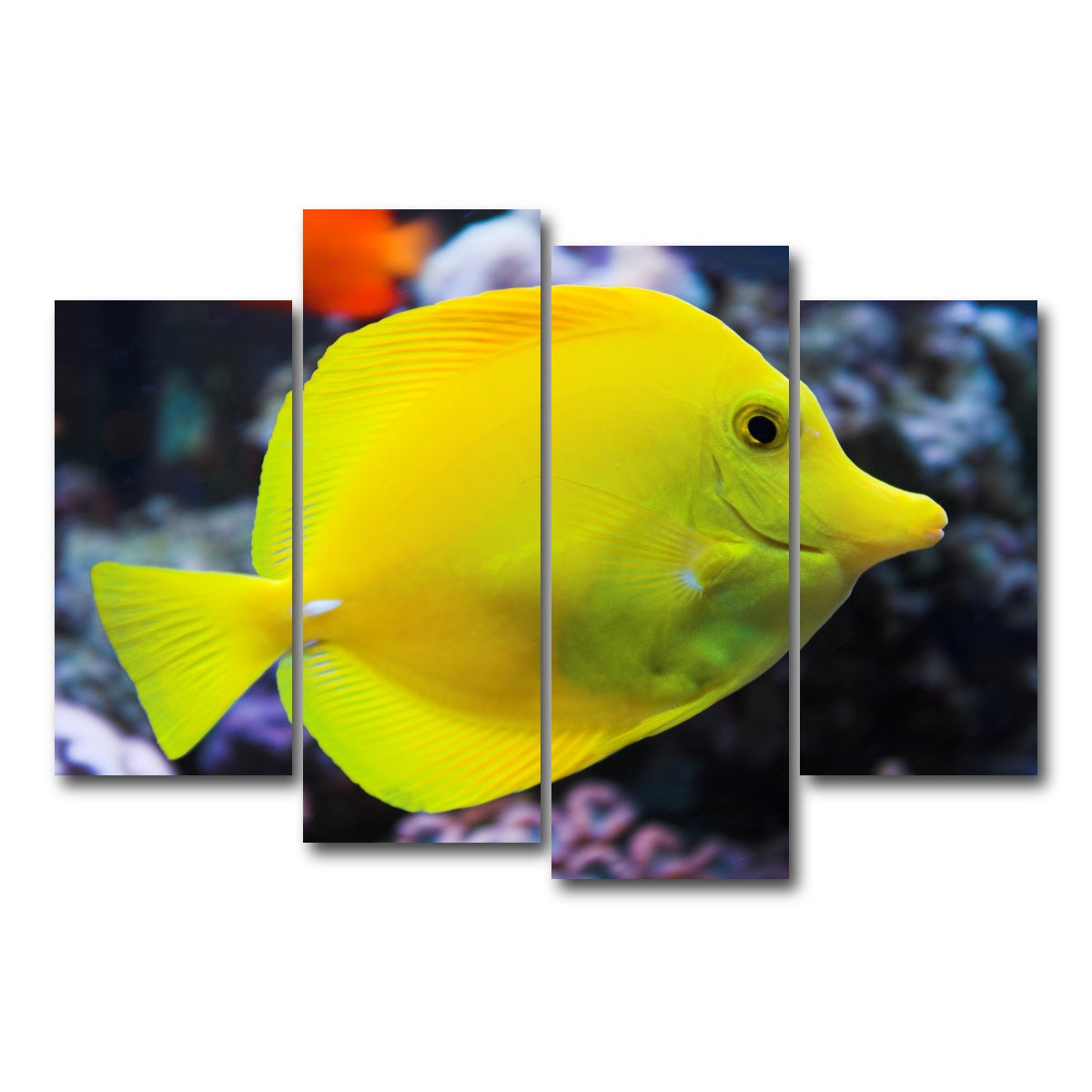 AUTO-MOCKUP WHITE | Yellow Tang | 4 Piece | Gallery Wrap Canvas | group=4_short