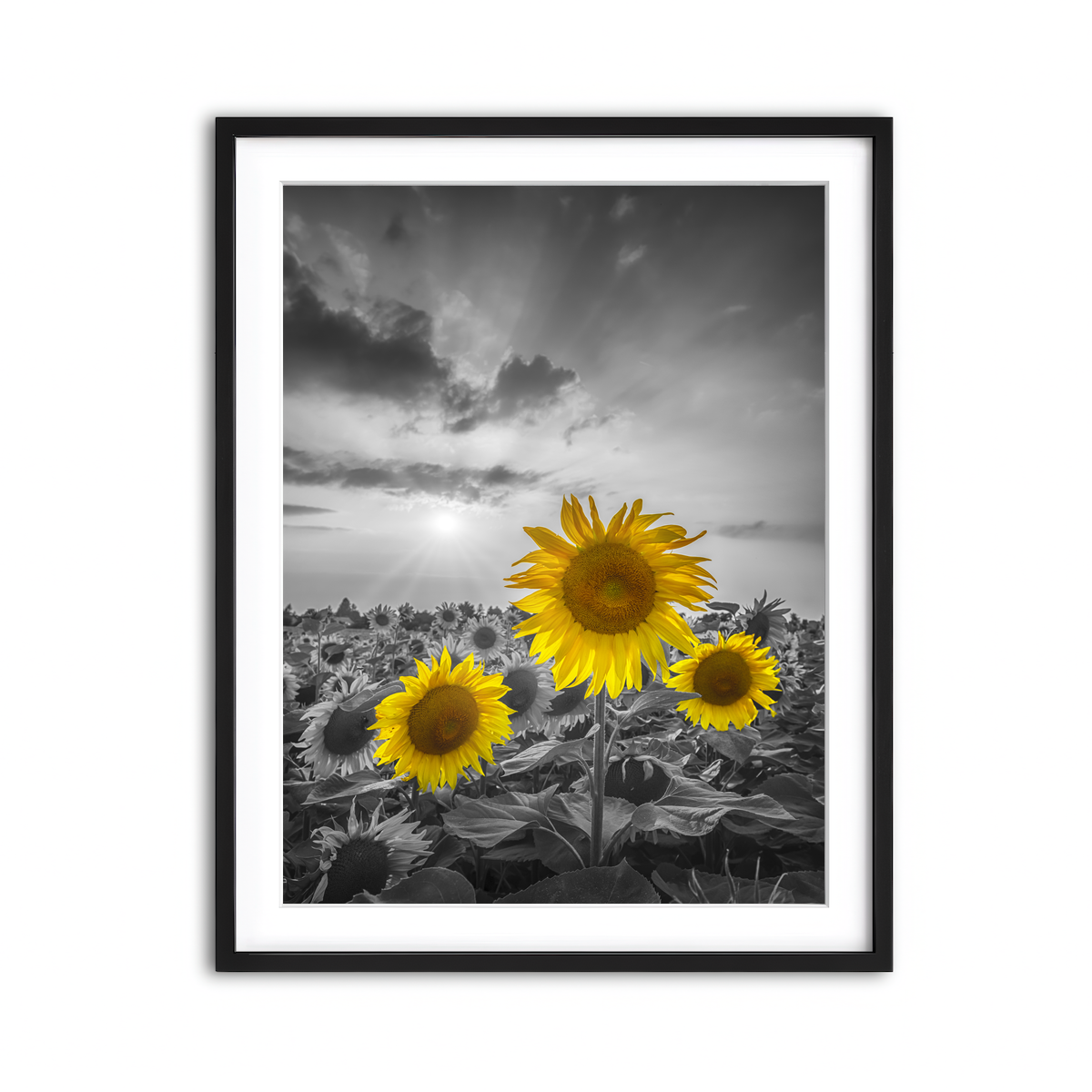 Framed Print 3x4 Black