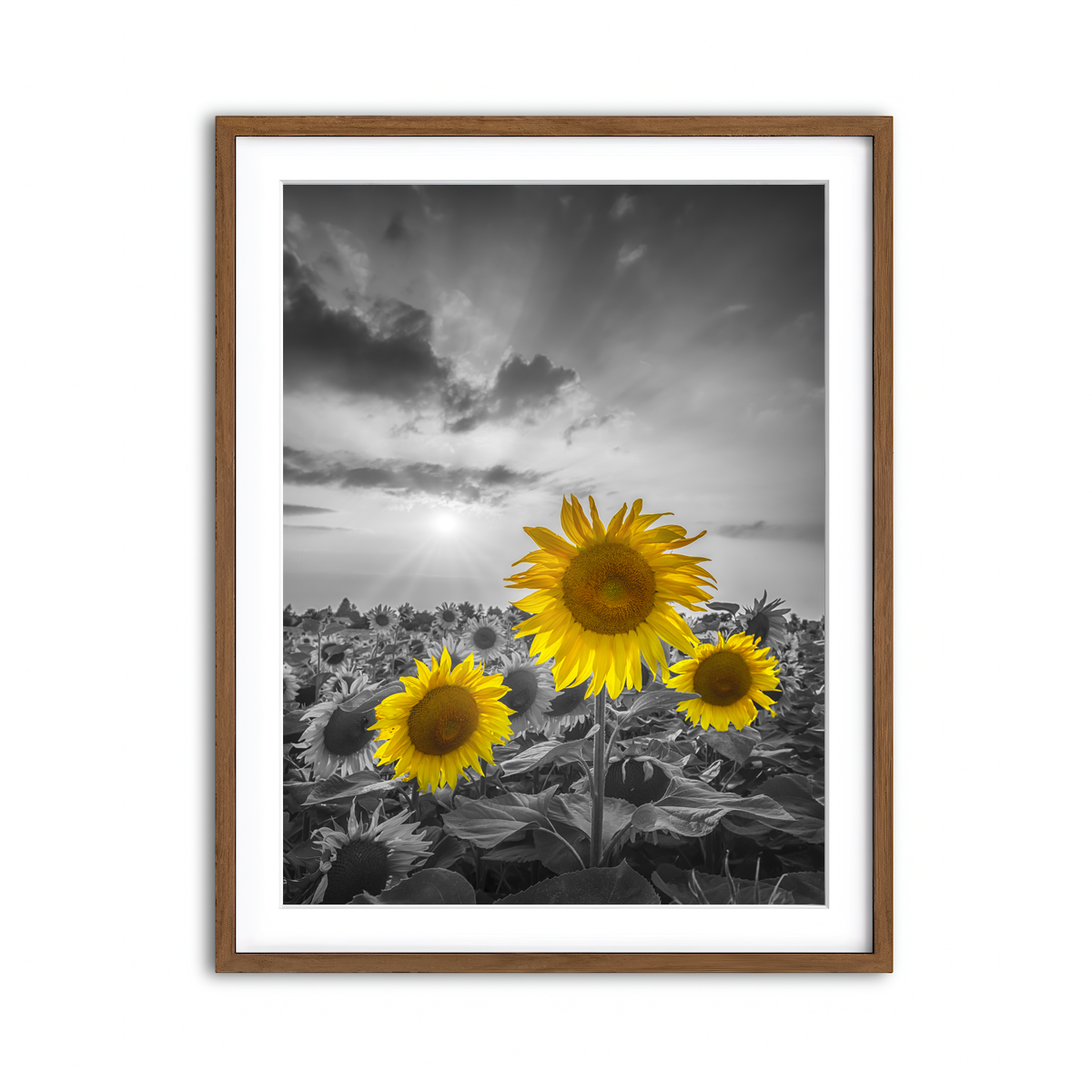 Framed Print 3x4 Walnut