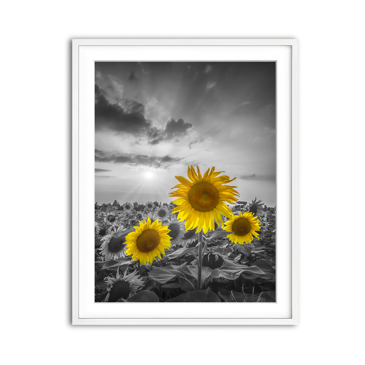 Framed Print 3x4 White