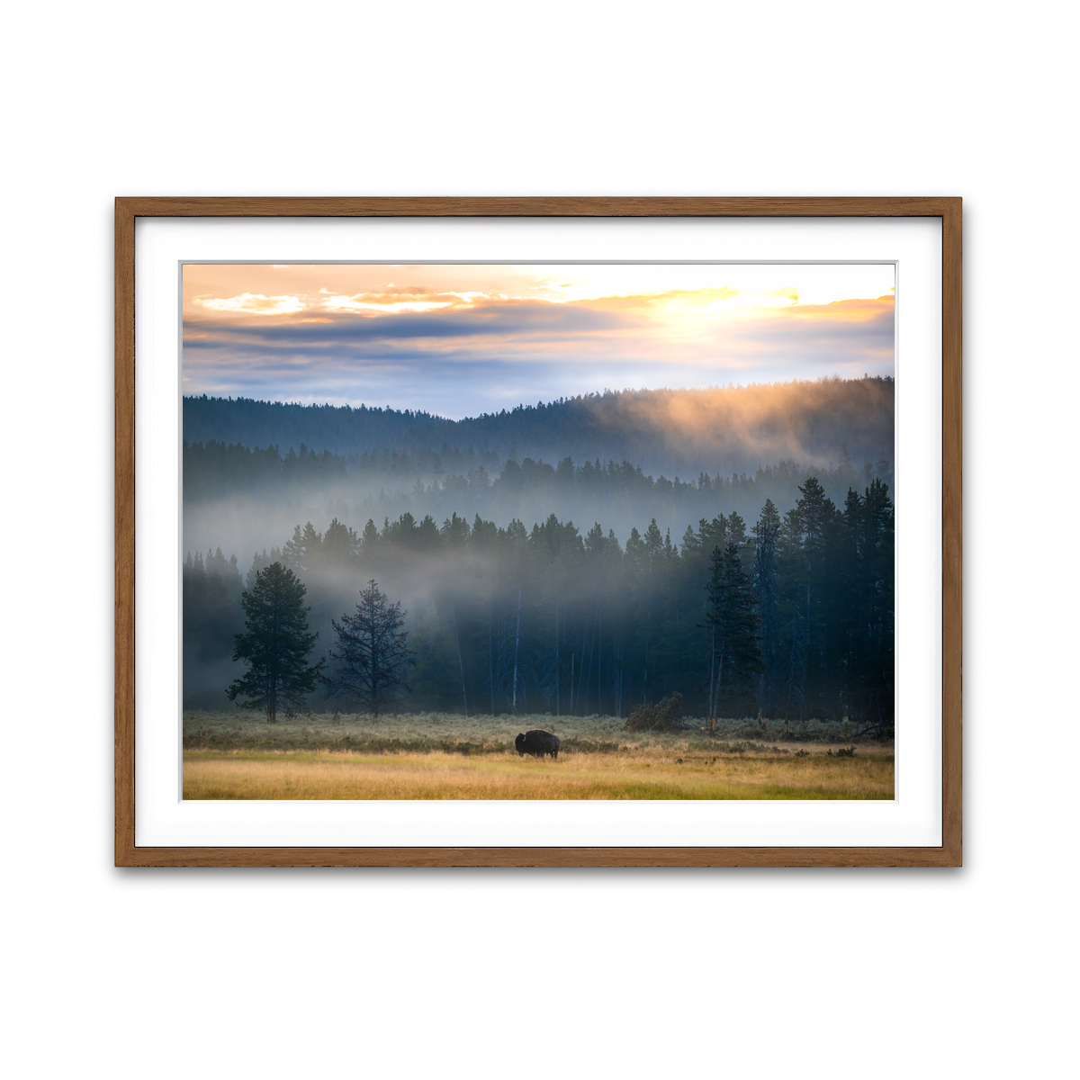 Framed Print 4x3 Walnut