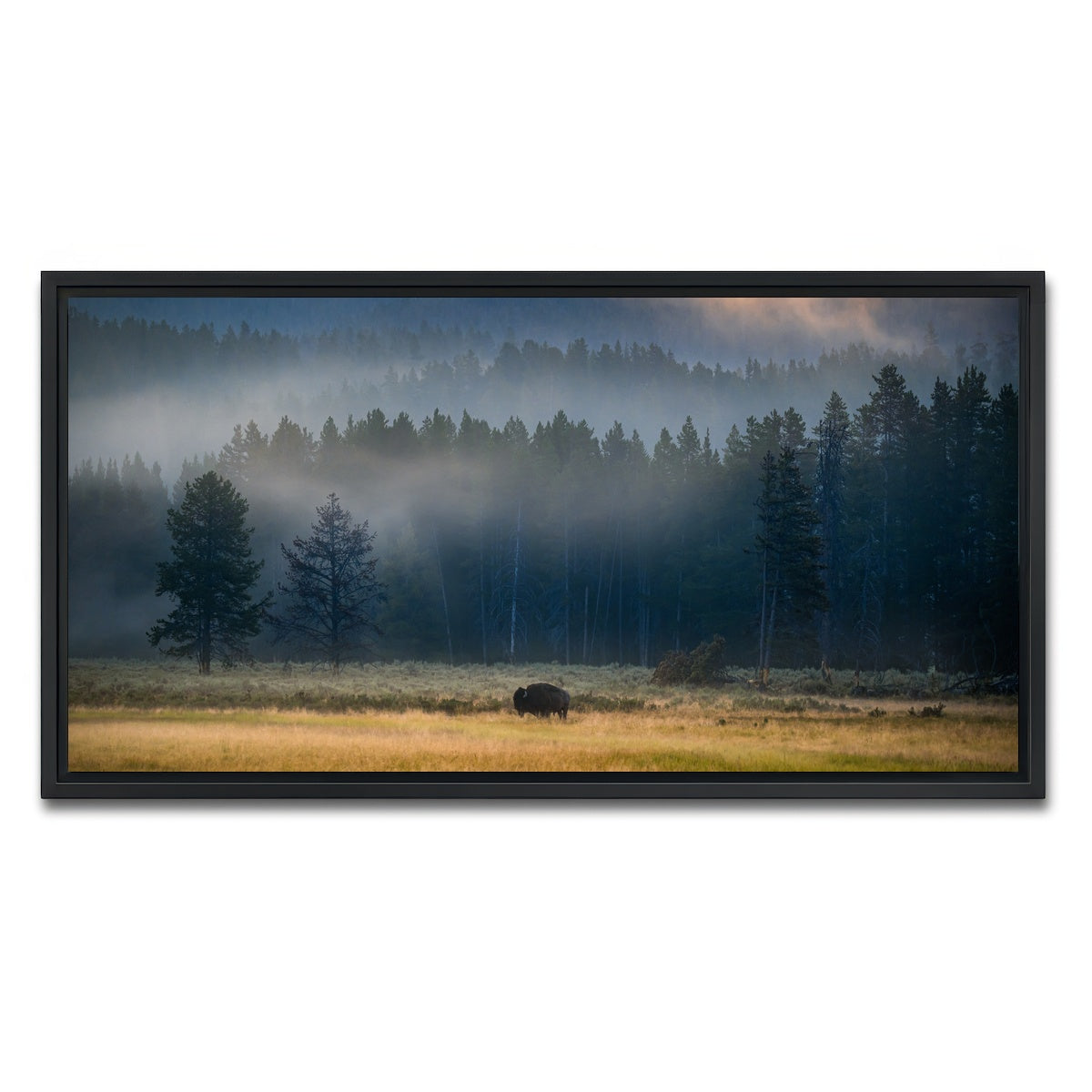 AUTO-MOCKUP WHITE | Yellowstone at Dawn | 1 Piece | Black Framed Canvas | group=2x1