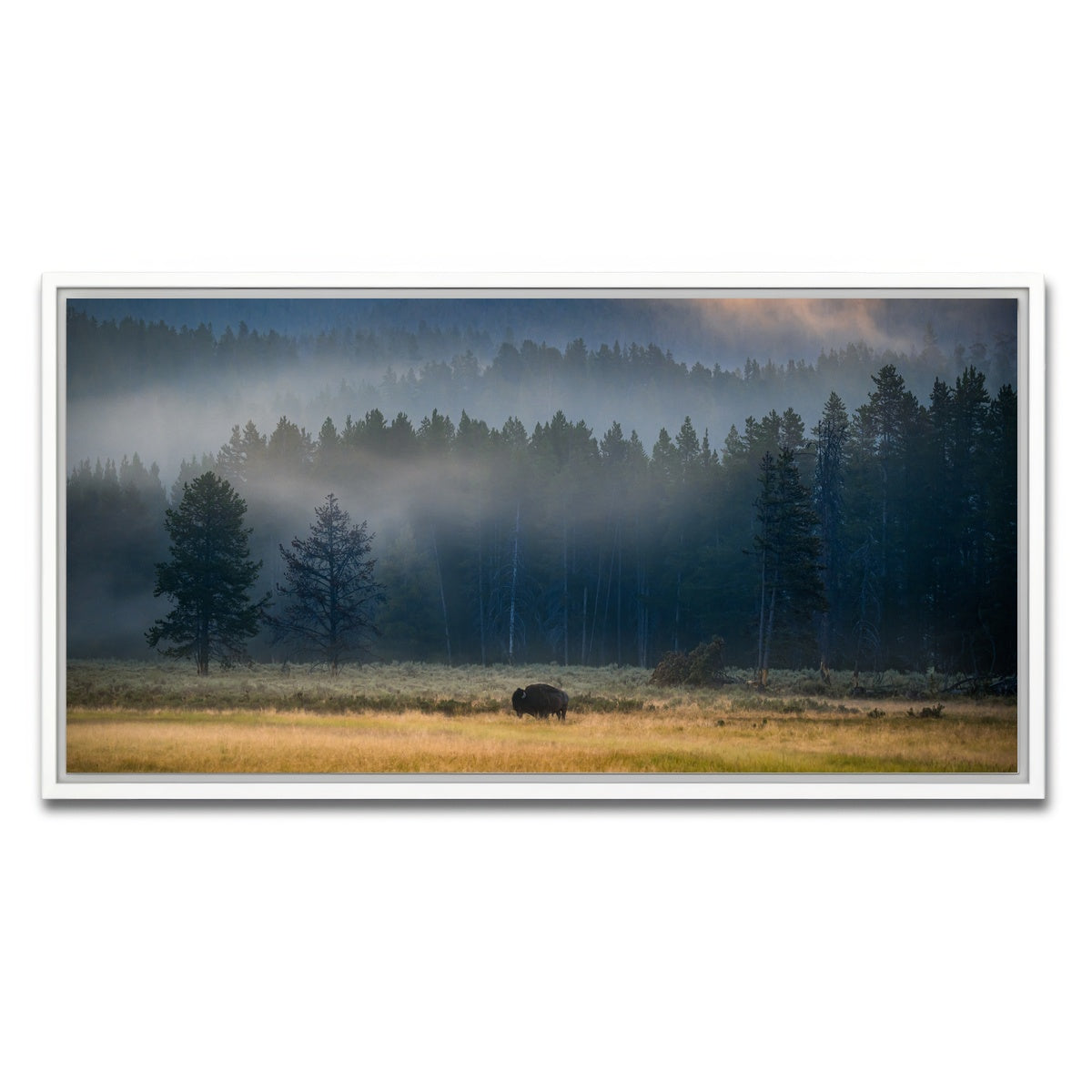 AUTO-MOCKUP WHITE | Yellowstone at Dawn | 1 Piece | White Framed Canvas | group=2x1