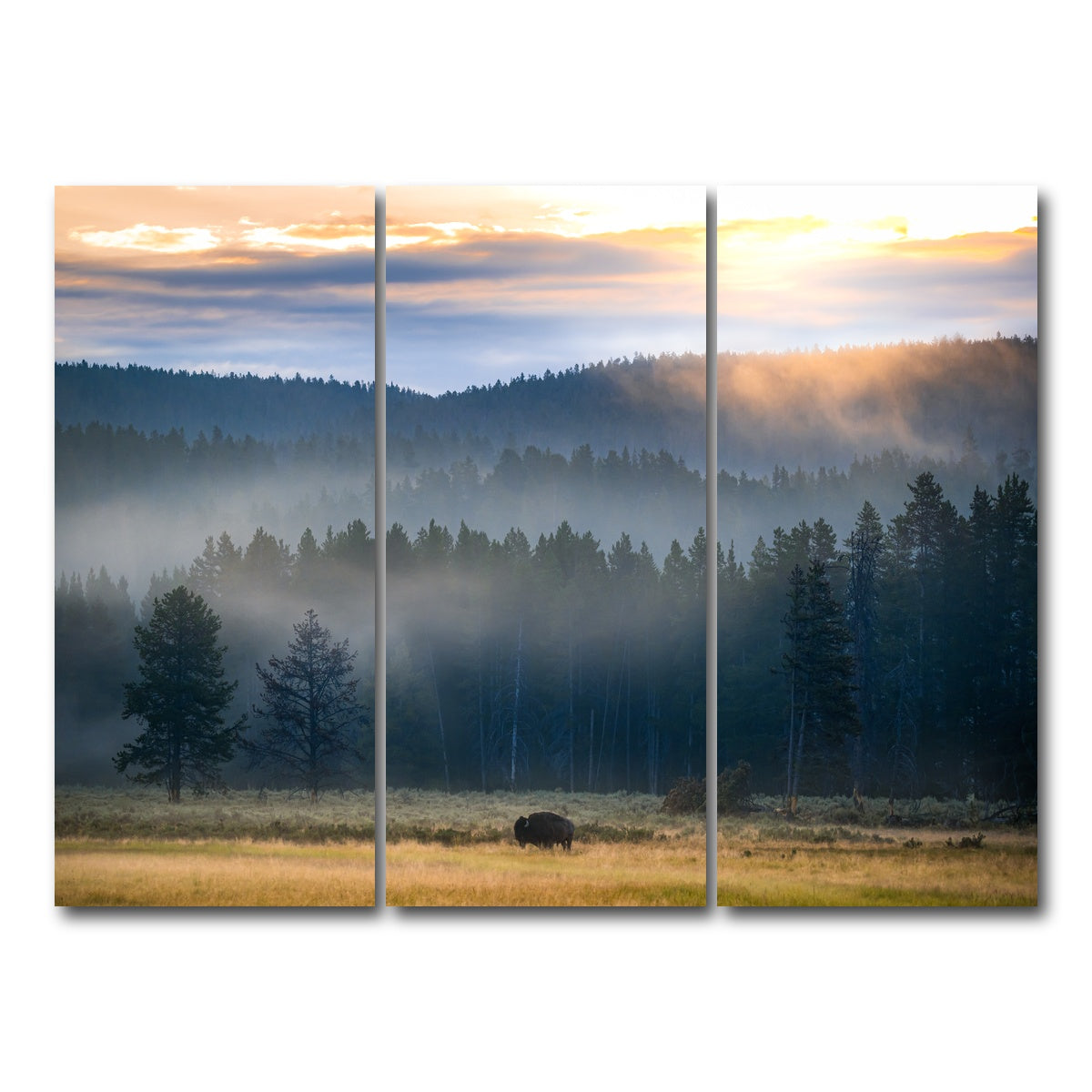 AUTO-MOCKUP WHITE | Yellowstone at Dawn | 3 Piece | Gallery Wrap Canvas | group=8x18