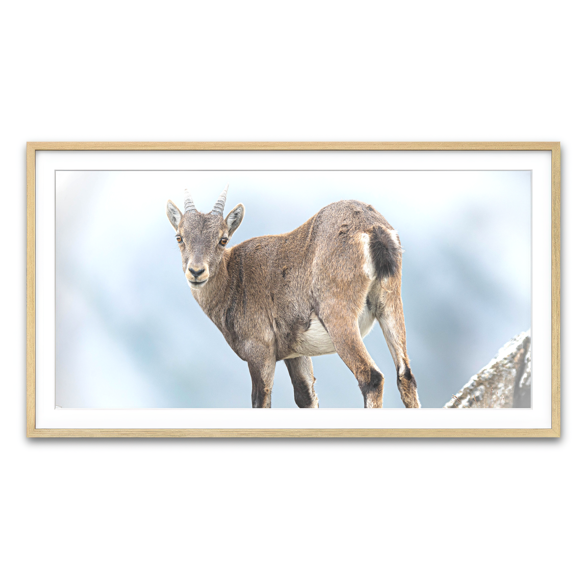 Framed Print 2x1 Natural