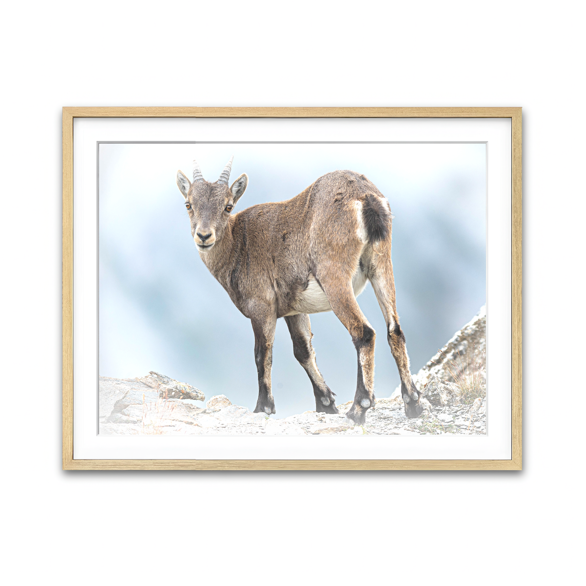 Framed Print 4x3 Natural