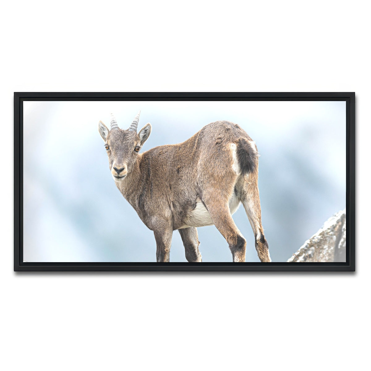 AUTO-MOCKUP WHITE | Yeux dans les yeux | 1 Piece | Black Framed Canvas | group=2x1