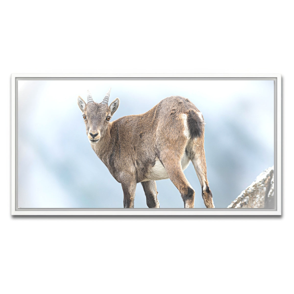 AUTO-MOCKUP WHITE | Yeux dans les yeux | 1 Piece | White Framed Canvas | group=2x1