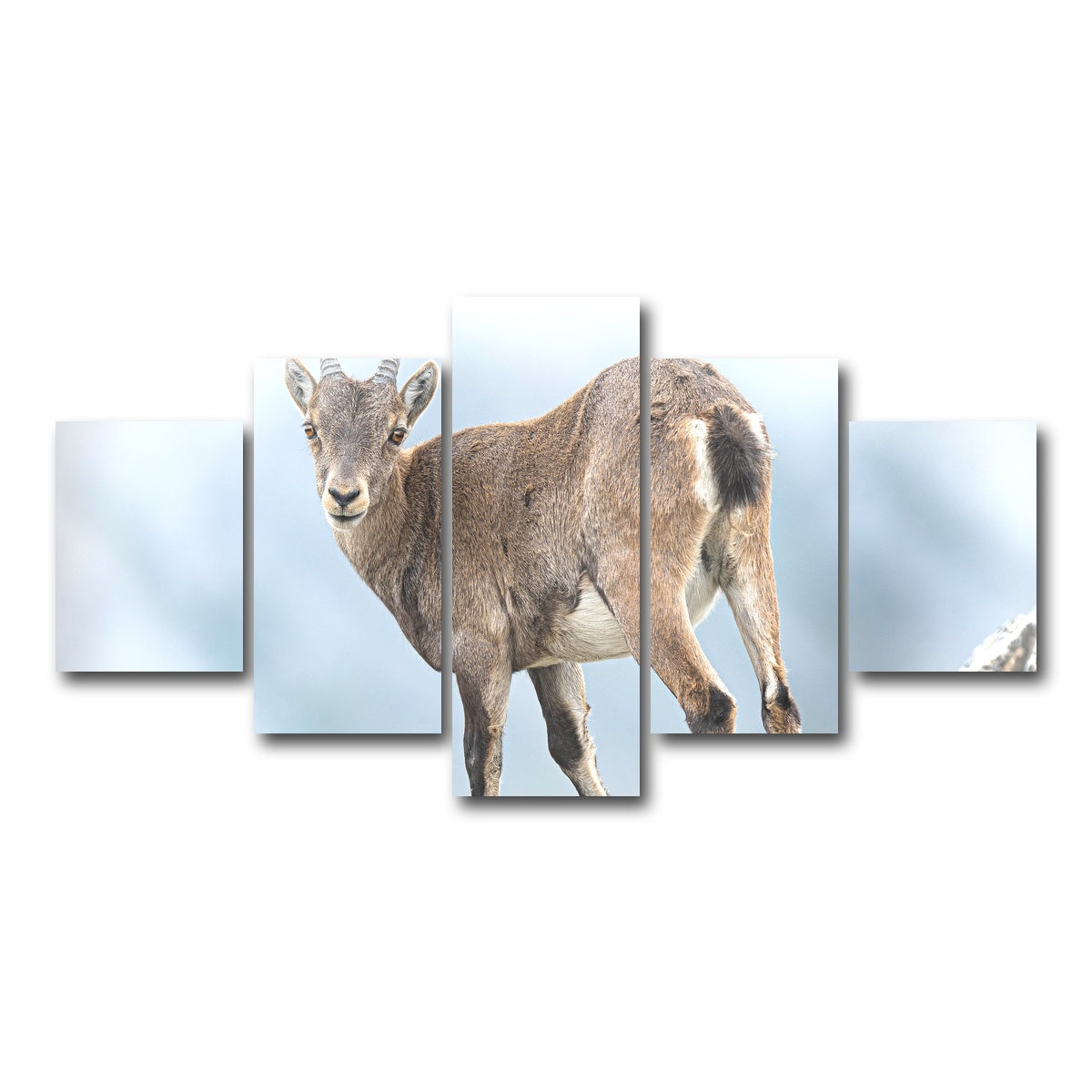 AUTO-MOCKUP WHITE | Yeux dans les yeux | 5 Piece | Gallery Wrap Canvas | group=5_short