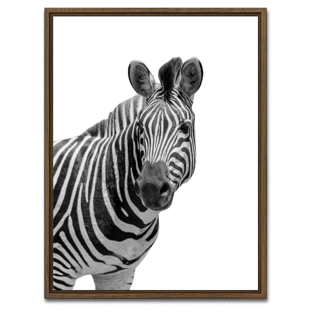 AUTO-MOCKUP WHITE | Zebra Grayscale | 1 Piece | Walnut Framed Canvas | group=3x4