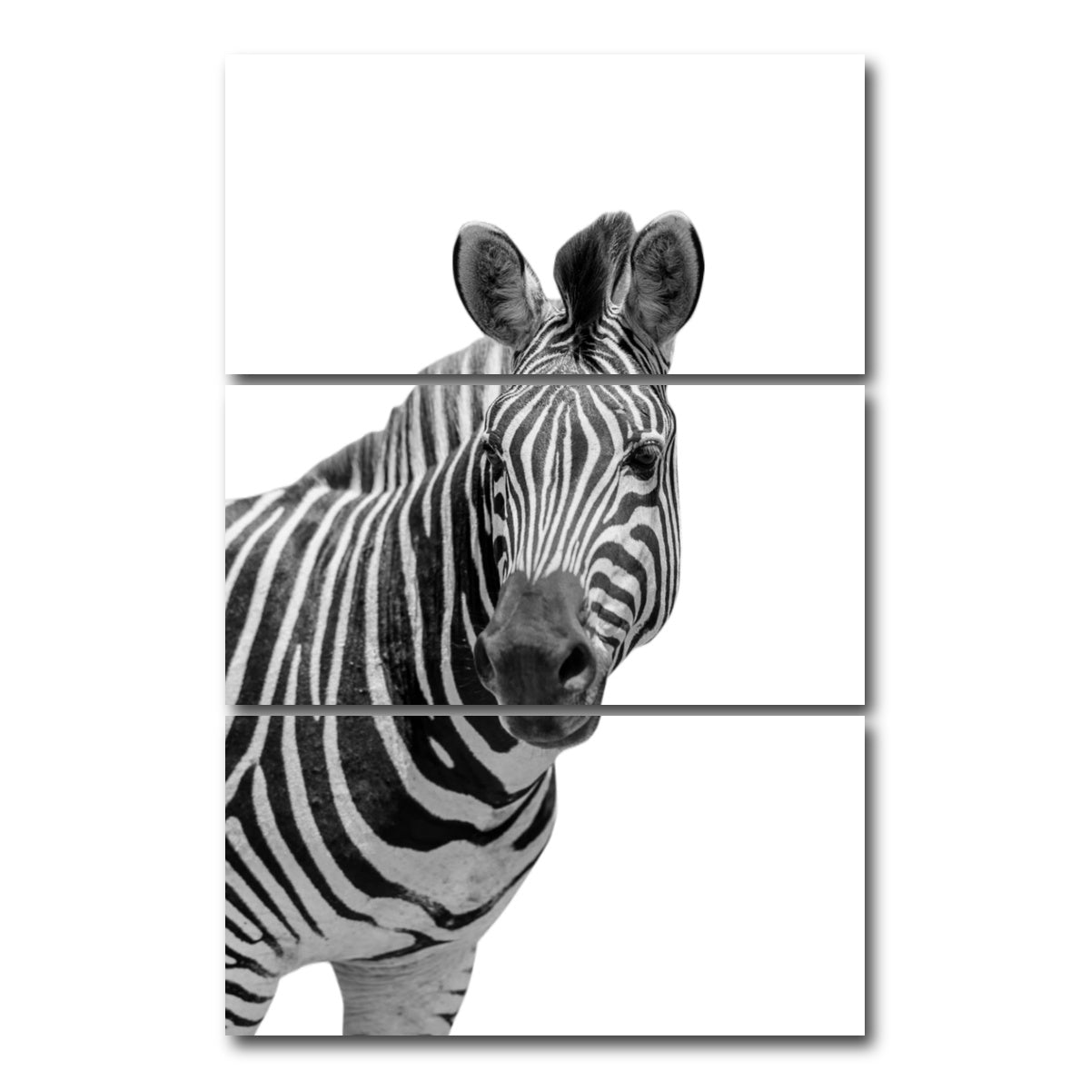 AUTO-MOCKUP WHITE | Zebra Grayscale | 3 Piece | Gallery Wrap Canvas | group=12x24_stacked