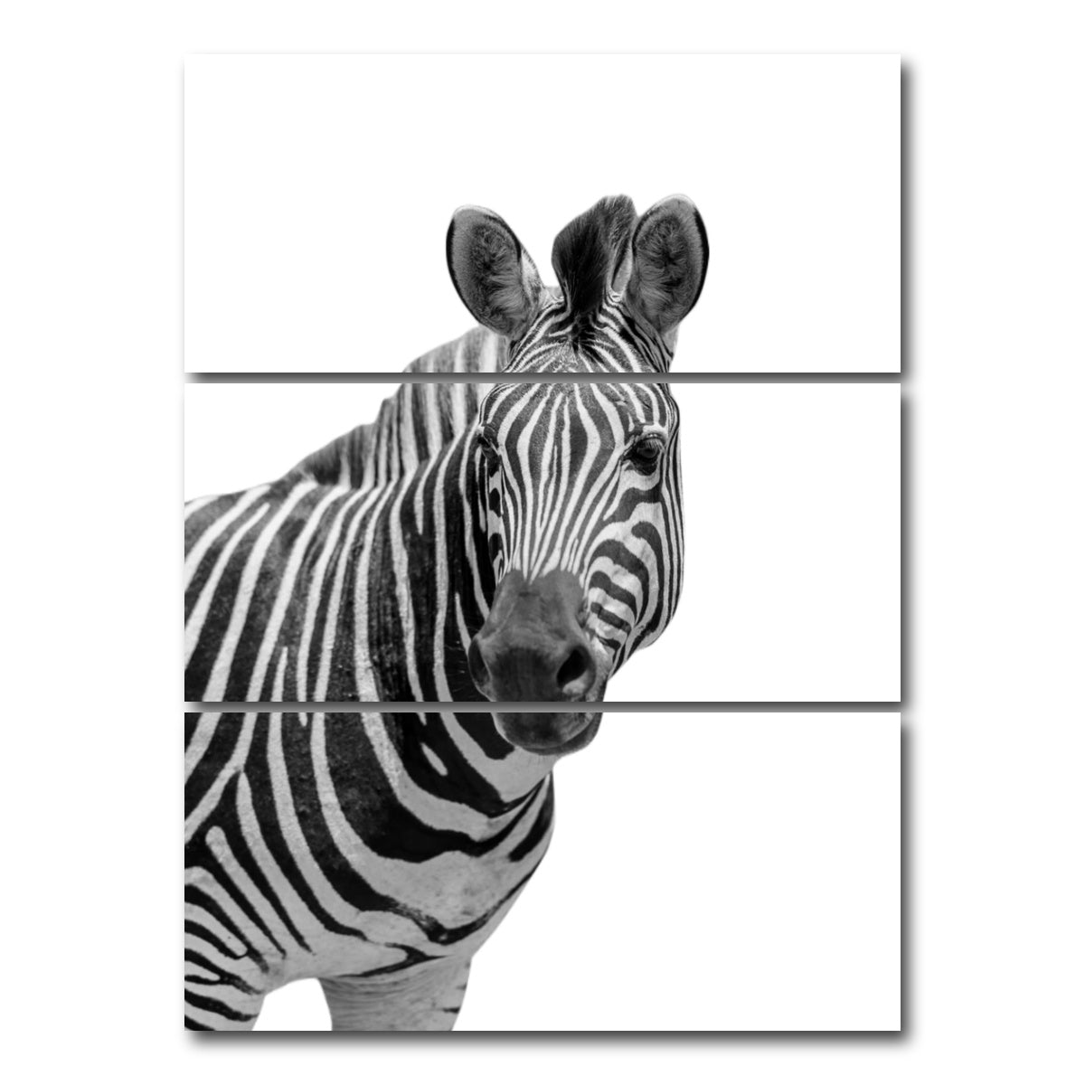 AUTO-MOCKUP WHITE | Zebra Grayscale | 3 Piece | Gallery Wrap Canvas | group=8x18_stacked