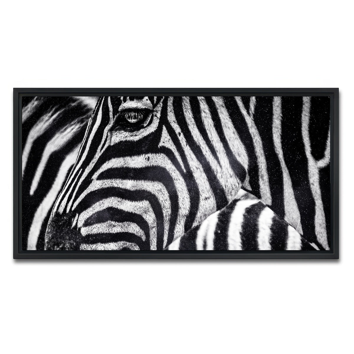 AUTO-MOCKUP WHITE | Zebra | 1 Piece | Black Framed Canvas | group=2x1