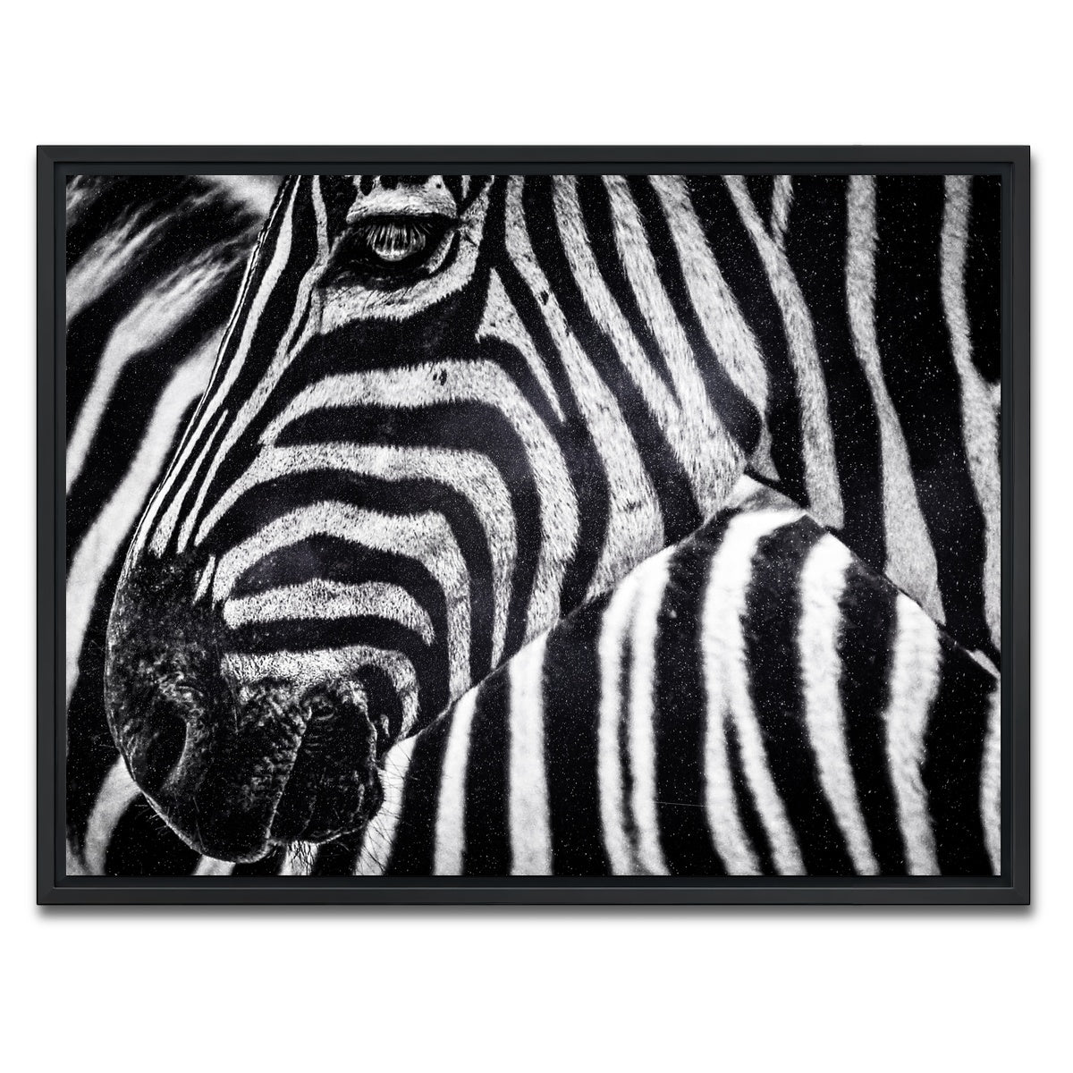 AUTO-MOCKUP WHITE | Zebra | 1 Piece | Black Framed Canvas | group=4x3