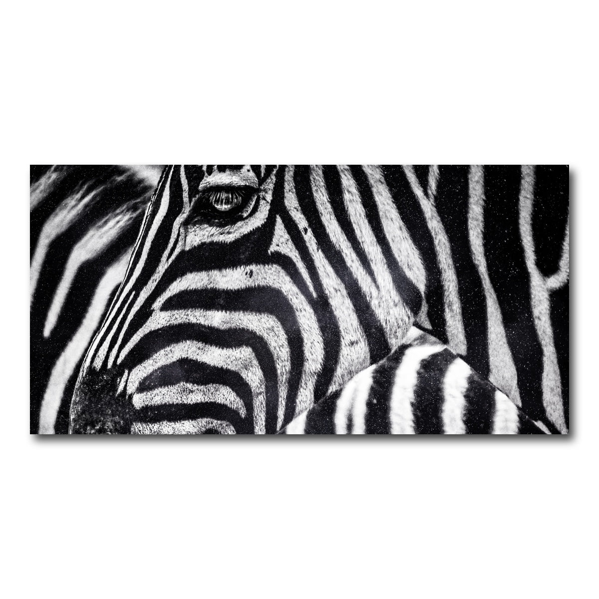 AUTO-MOCKUP WHITE | Zebra | 1 Piece | Gallery Wrap Canvas | group=2x1