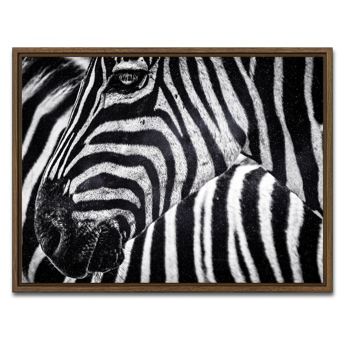 AUTO-MOCKUP WHITE | Zebra | 1 Piece | Walnut Framed Canvas | group=4x3