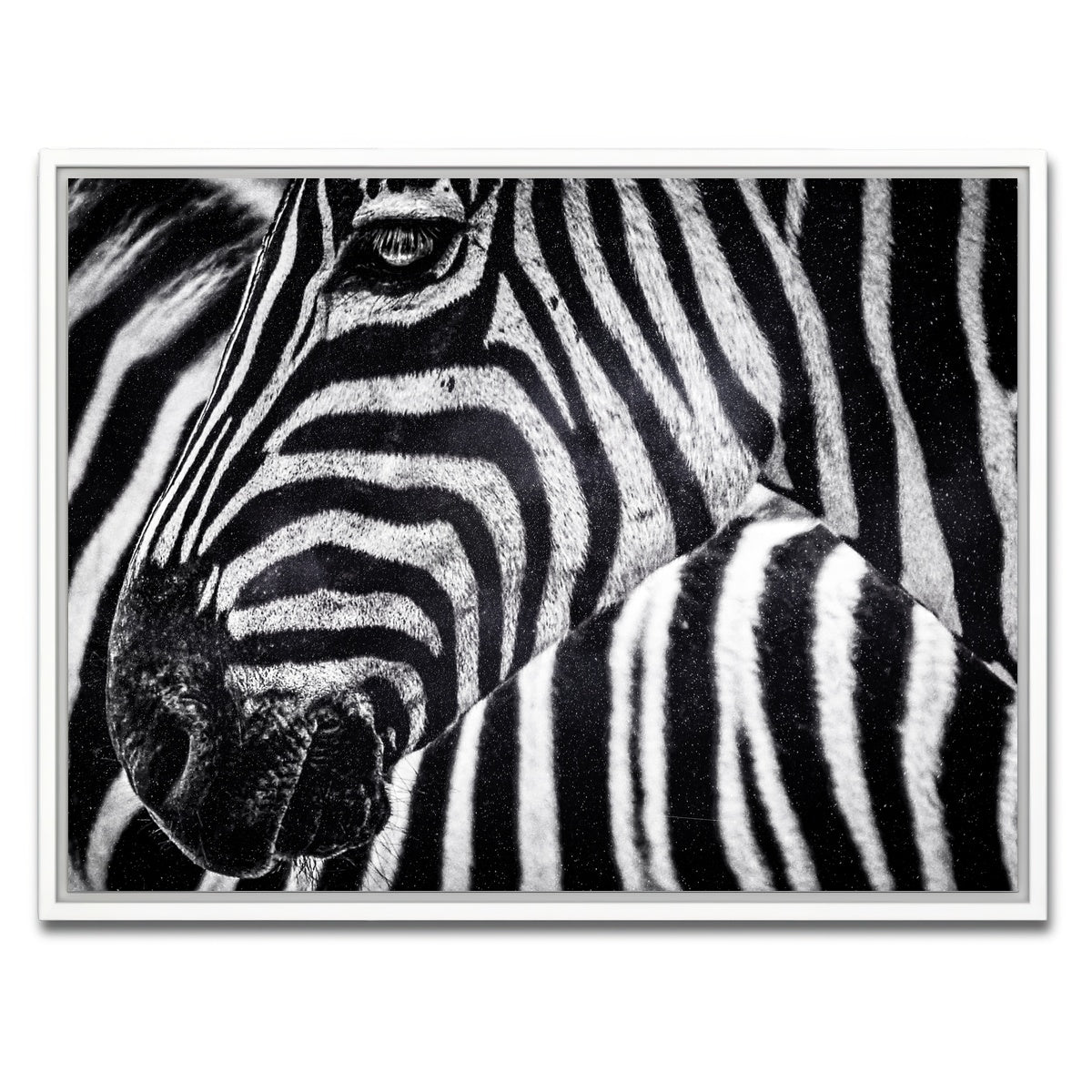 AUTO-MOCKUP WHITE | Zebra | 1 Piece | White Framed Canvas | group=4x3