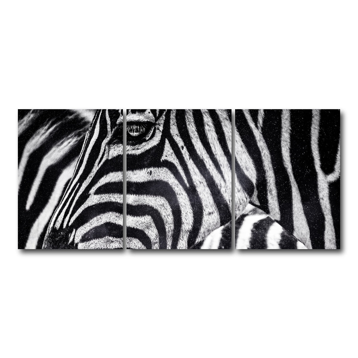 AUTO-MOCKUP WHITE | Zebra | 3 Piece | Gallery Wrap Canvas | group=18x24