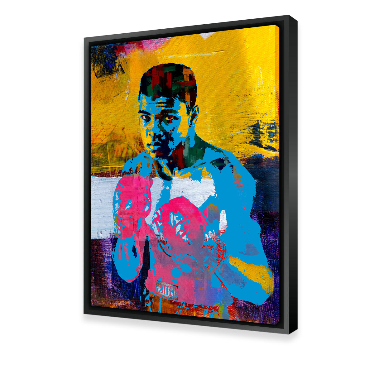 Ali Color Splash Wall Art