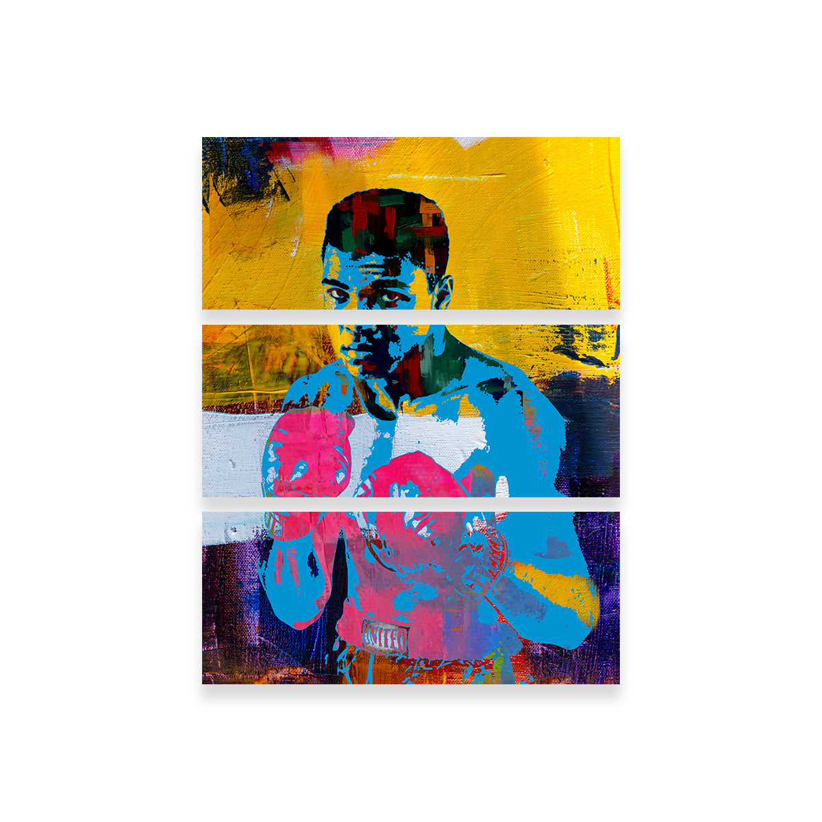 Ali Color Splash Wall Art
