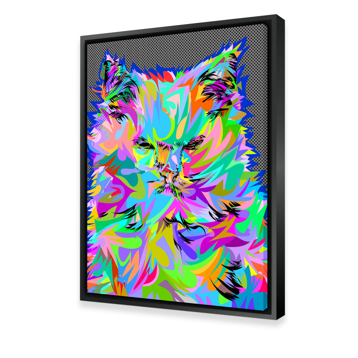 Angry Cat