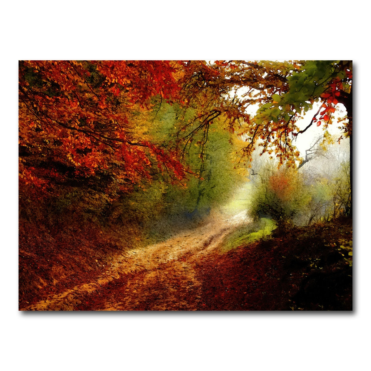 AUTO-MOCKUP WHITE | autumn forest edge | 1 Piece | Gallery Wrap Canvas | group=4x3