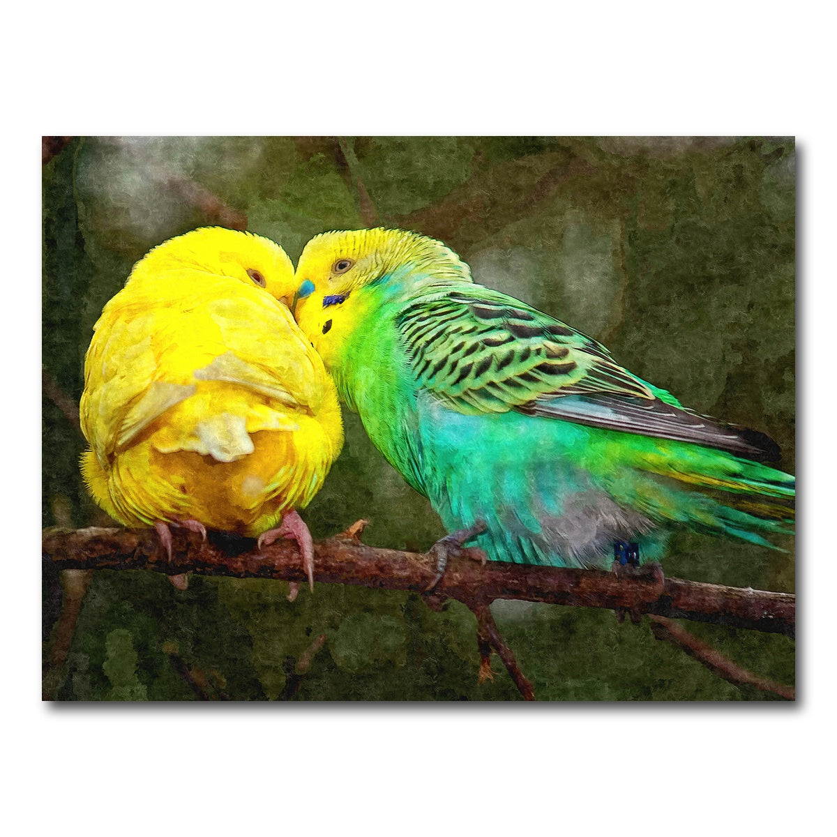 AUTO-MOCKUP WHITE | budgie snuggles | 1 Piece | Gallery Wrap Canvas | group=4x3