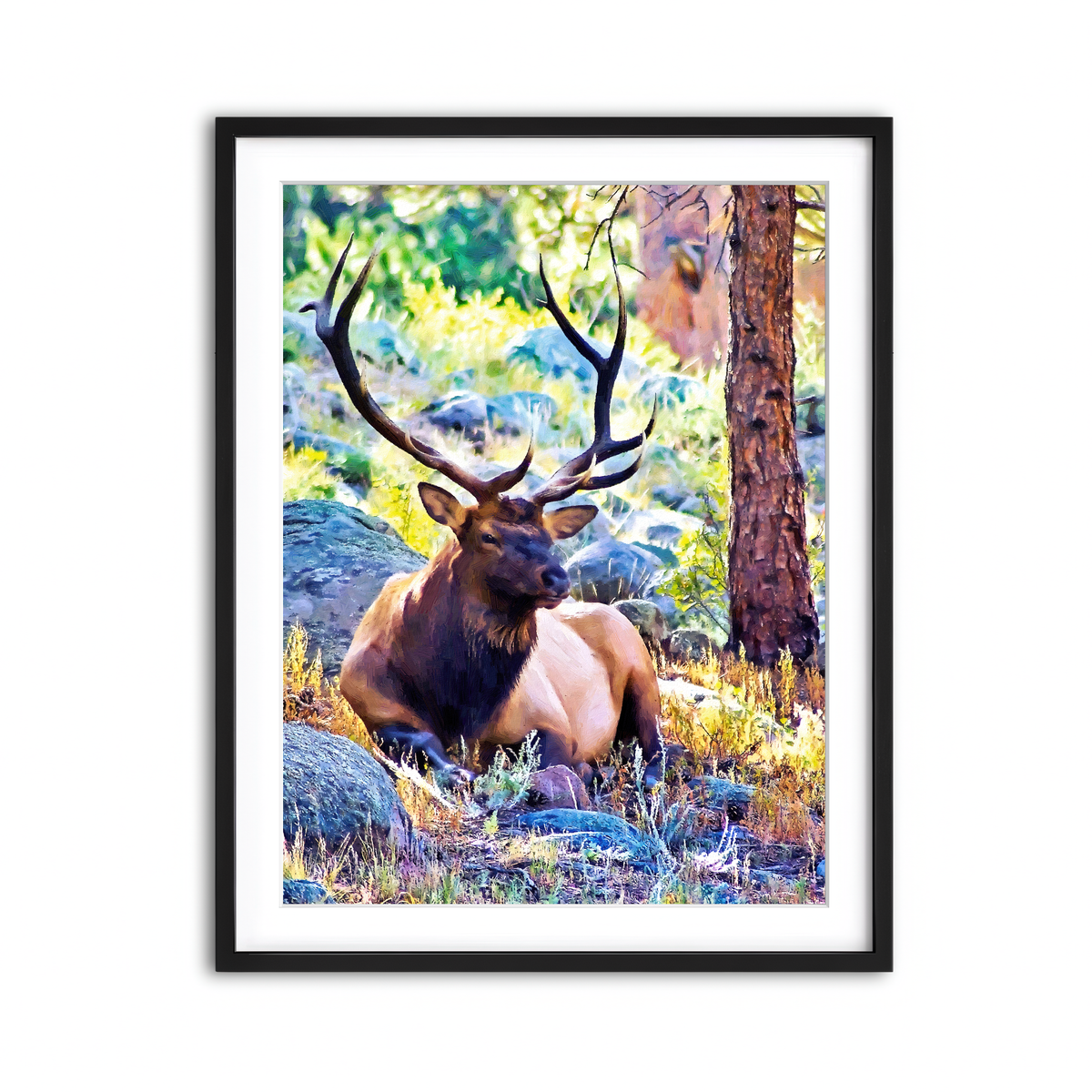 Framed Print 3x4 Black