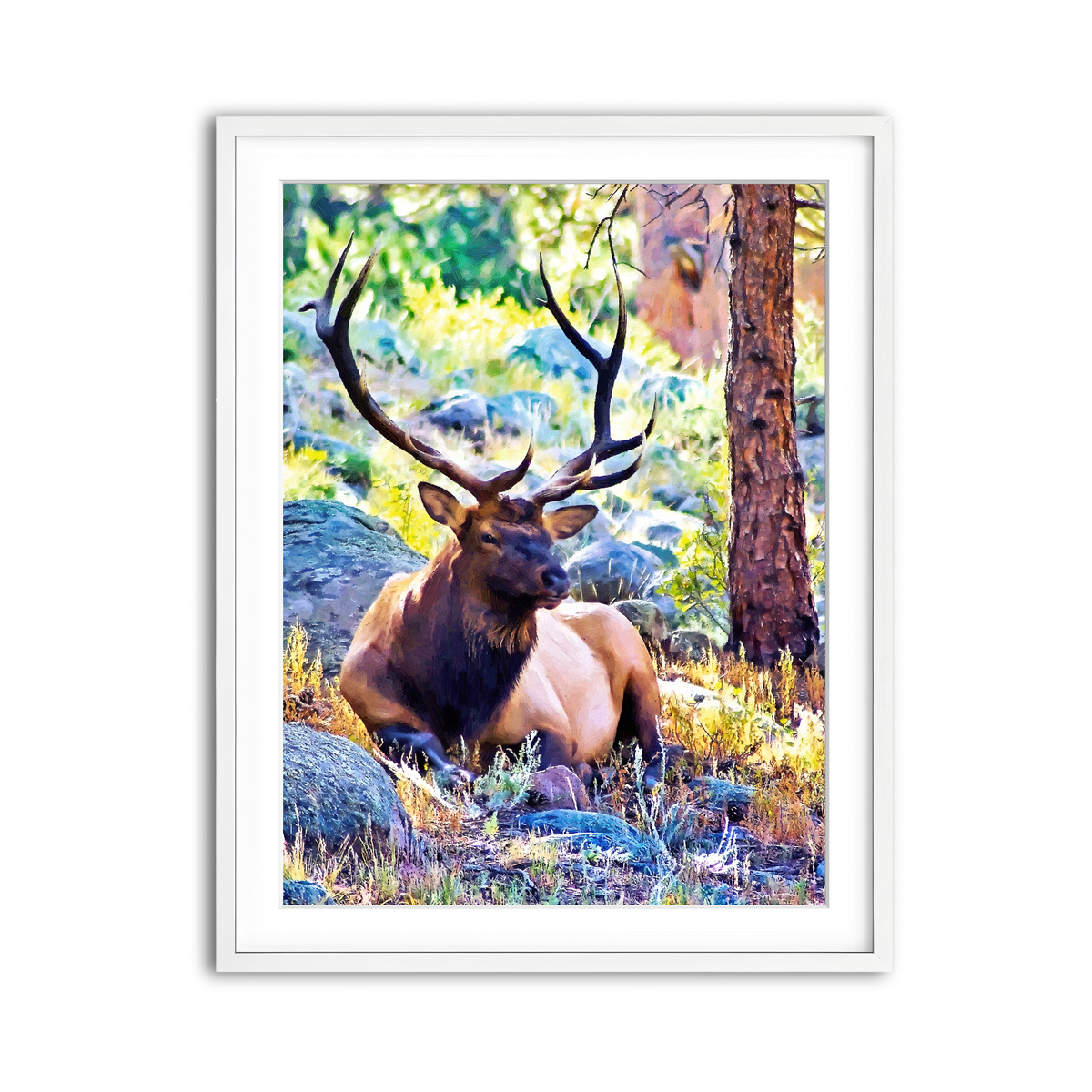 Framed Print 3x4 White