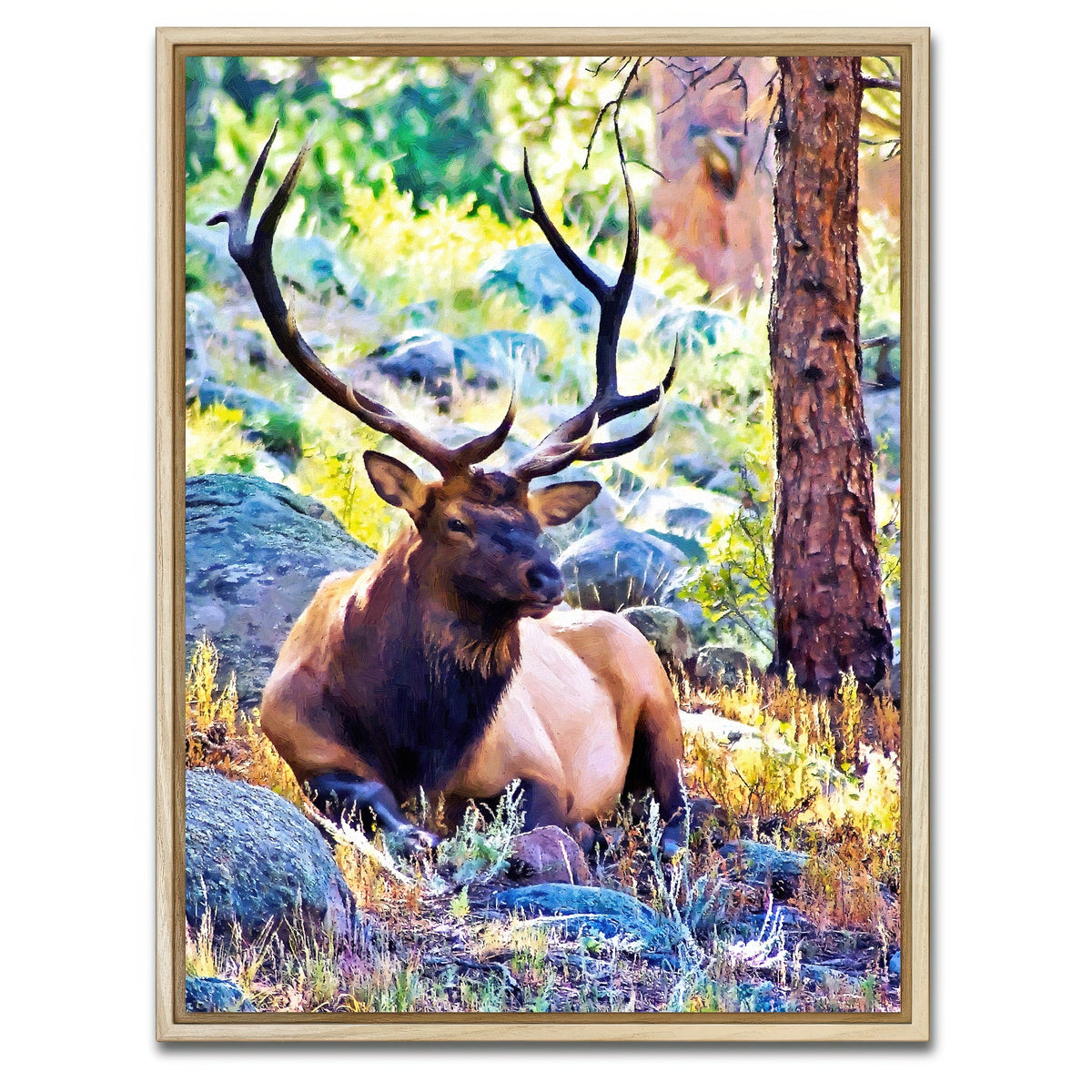 AUTO-MOCKUP WHITE | bull elk | 1 Piece | Natural Framed Canvas | group=3x4