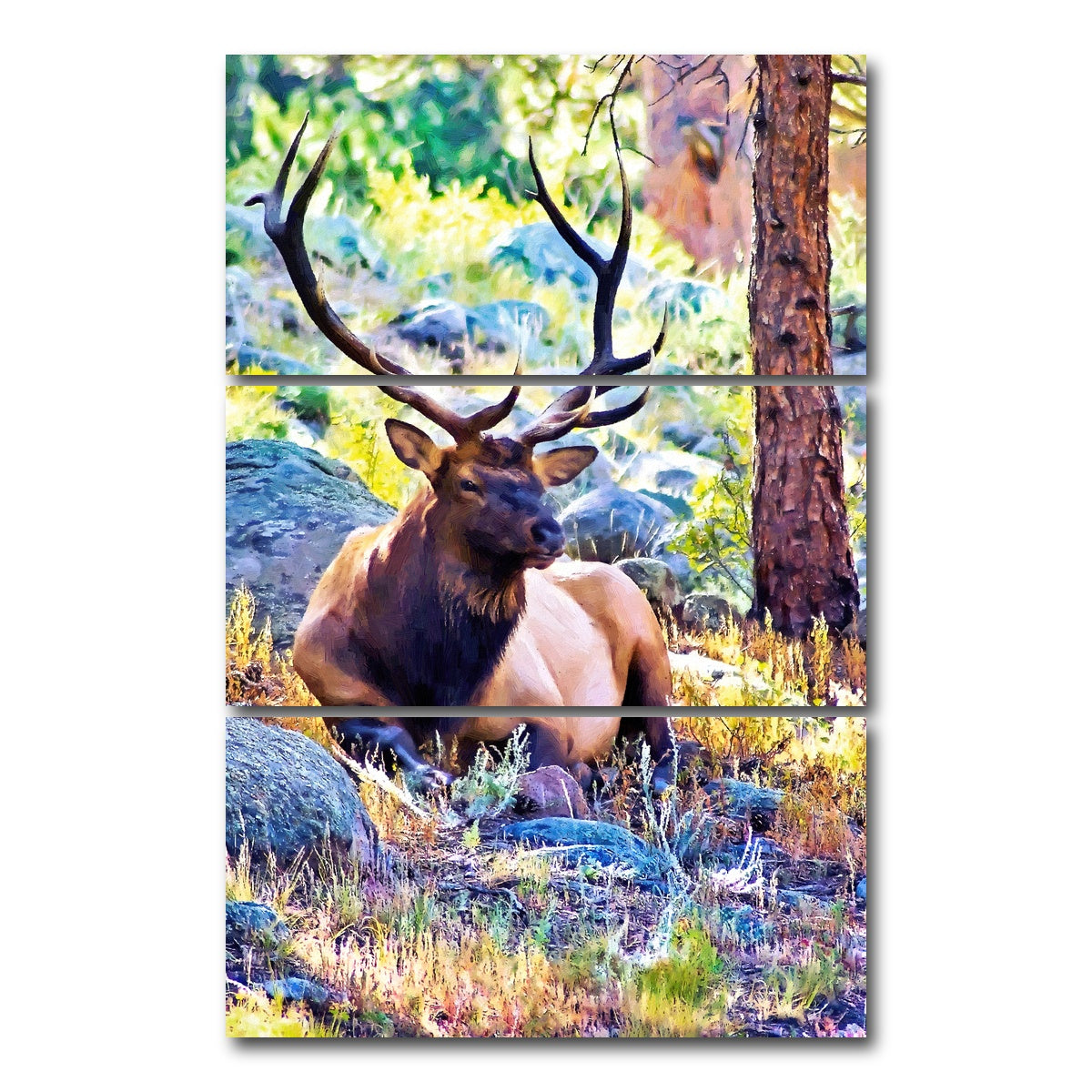 AUTO-MOCKUP WHITE | bull elk | 3 Piece | Gallery Wrap Canvas | group=12x24_stacked