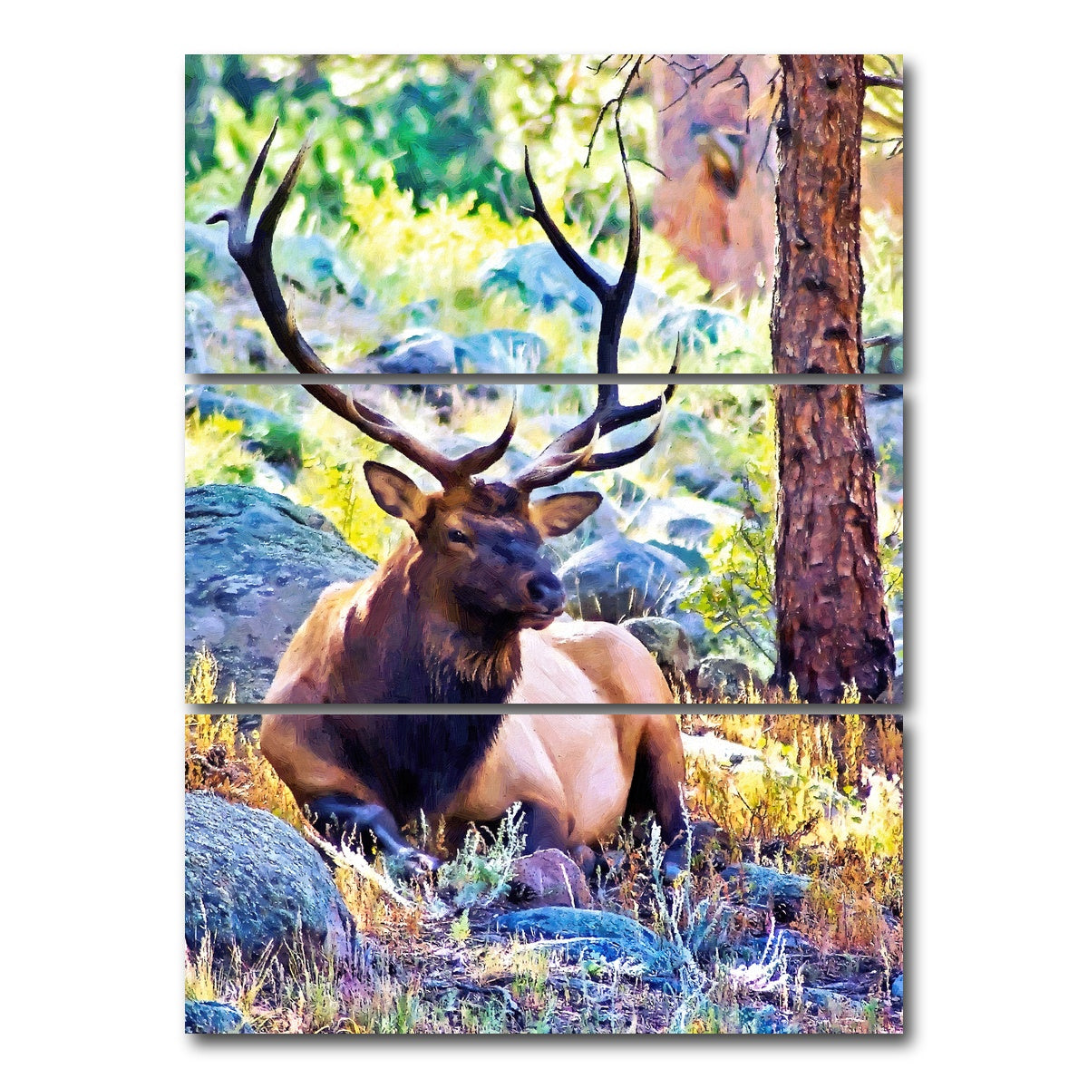 AUTO-MOCKUP WHITE | bull elk | 3 Piece | Gallery Wrap Canvas | group=8x18_stacked