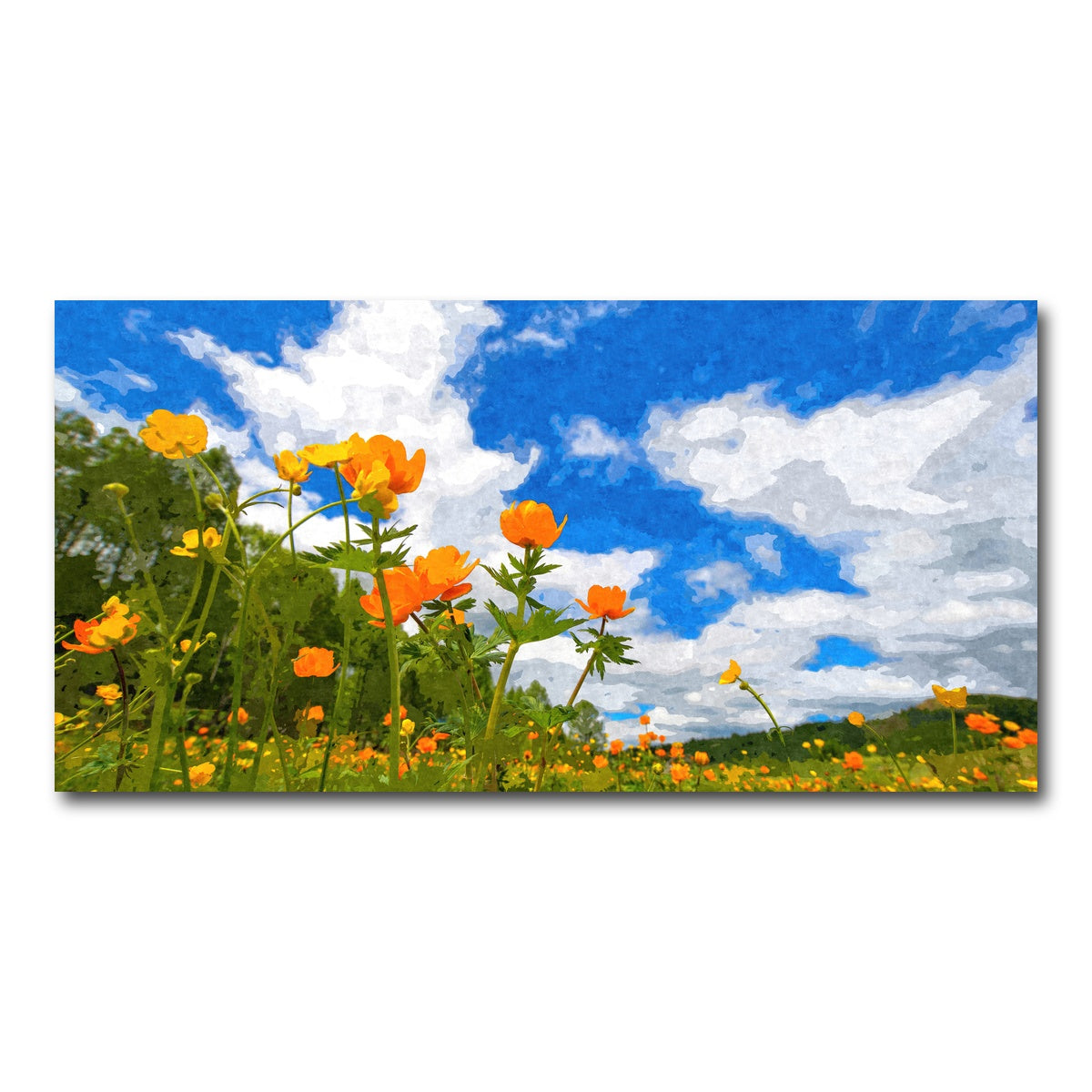 AUTO-MOCKUP WHITE | california poppies under the blue skies | 1 Piece | Gallery Wrap Canvas | group=2x1