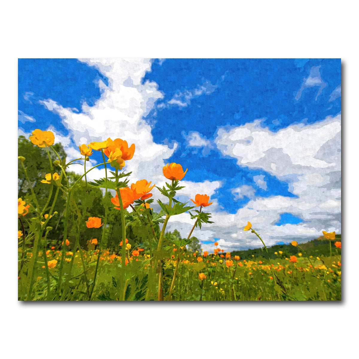 AUTO-MOCKUP WHITE | california poppies under the blue skies | 1 Piece | Gallery Wrap Canvas | group=4x3