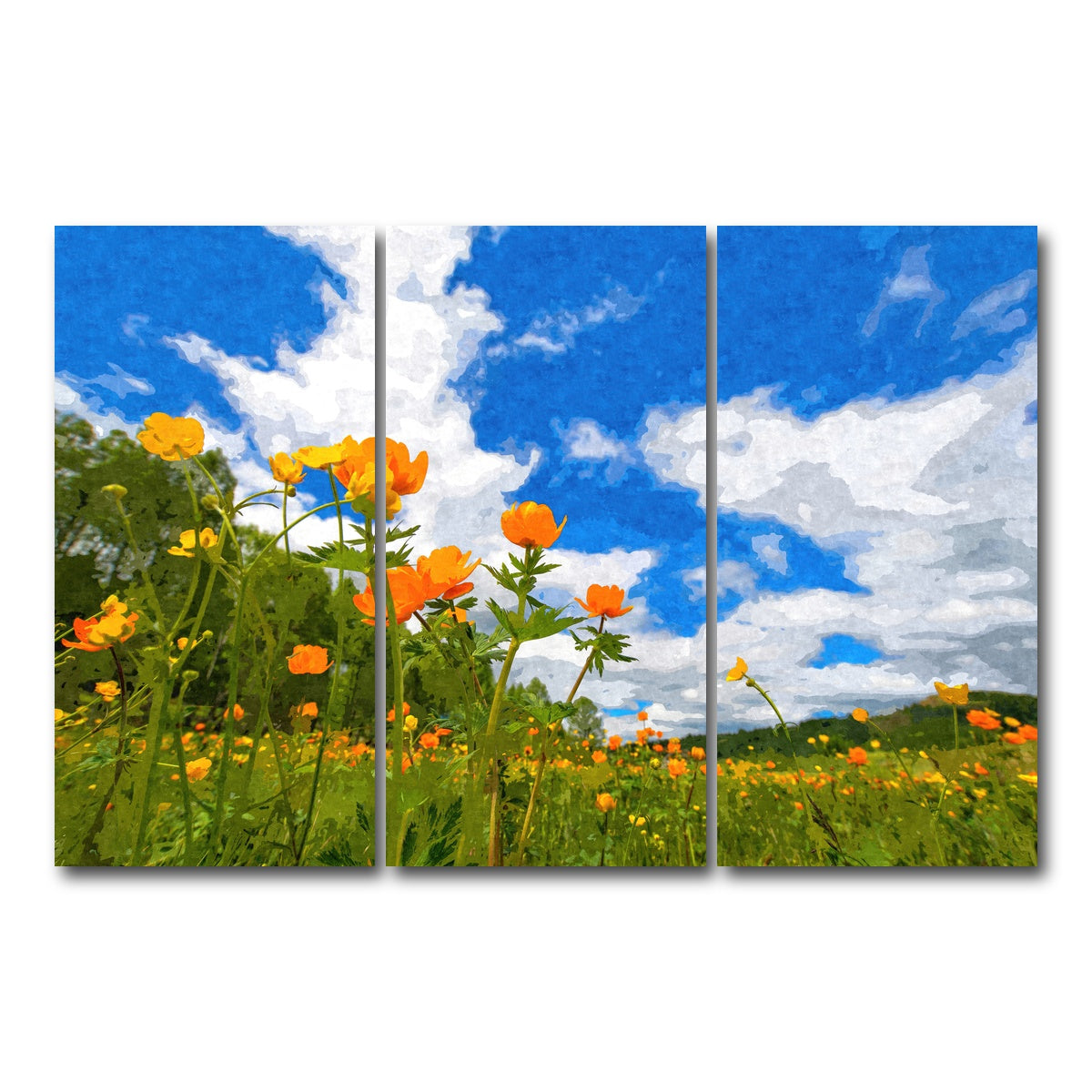 AUTO-MOCKUP WHITE | california poppies under the blue skies | 3 Piece | Gallery Wrap Canvas | group=12x24