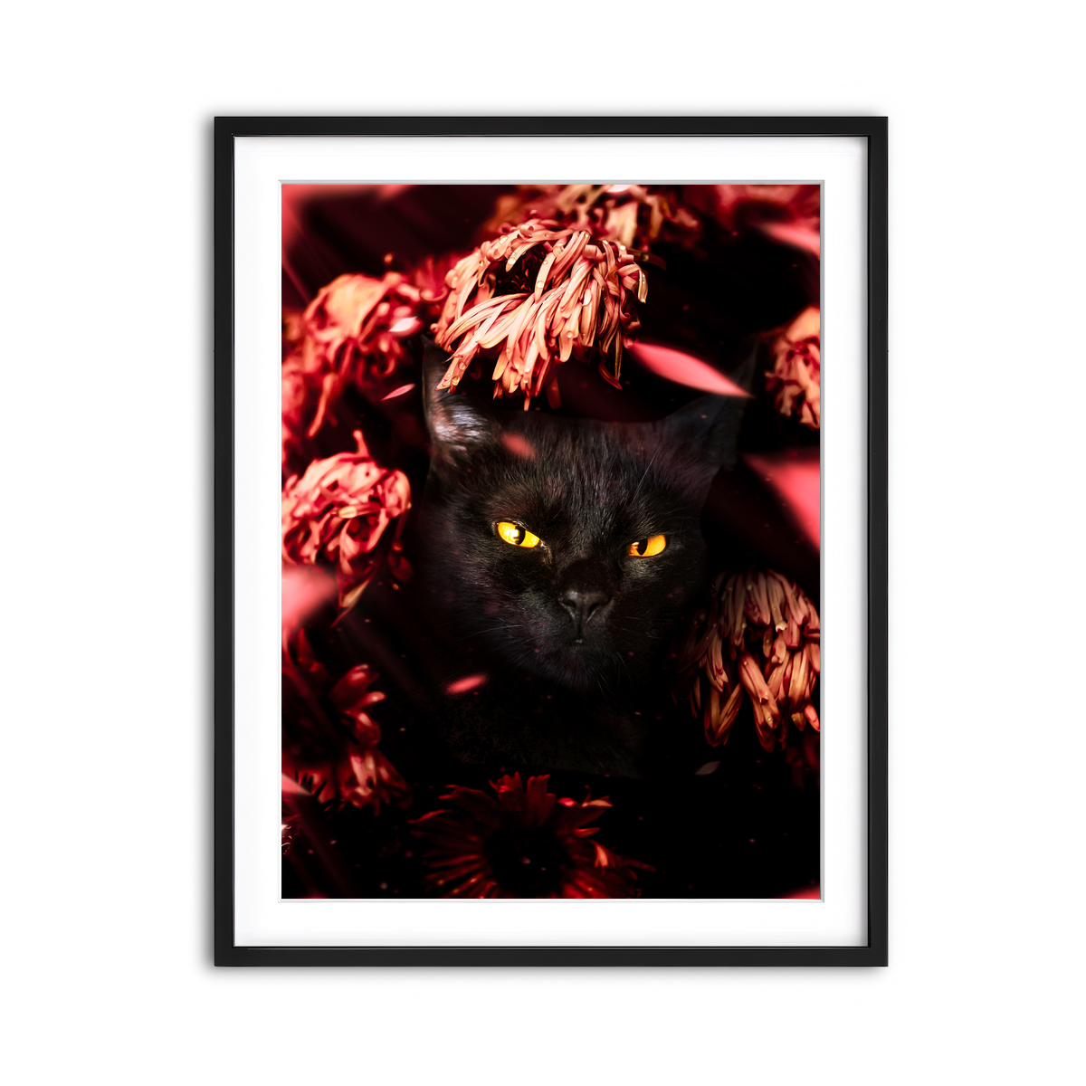 Framed Print 3x4 Black