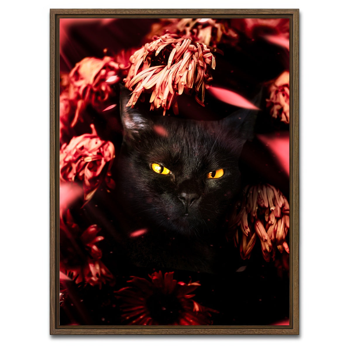 AUTO-MOCKUP WHITE | cat black petals | 1 Piece | Walnut Framed Canvas | group=3x4