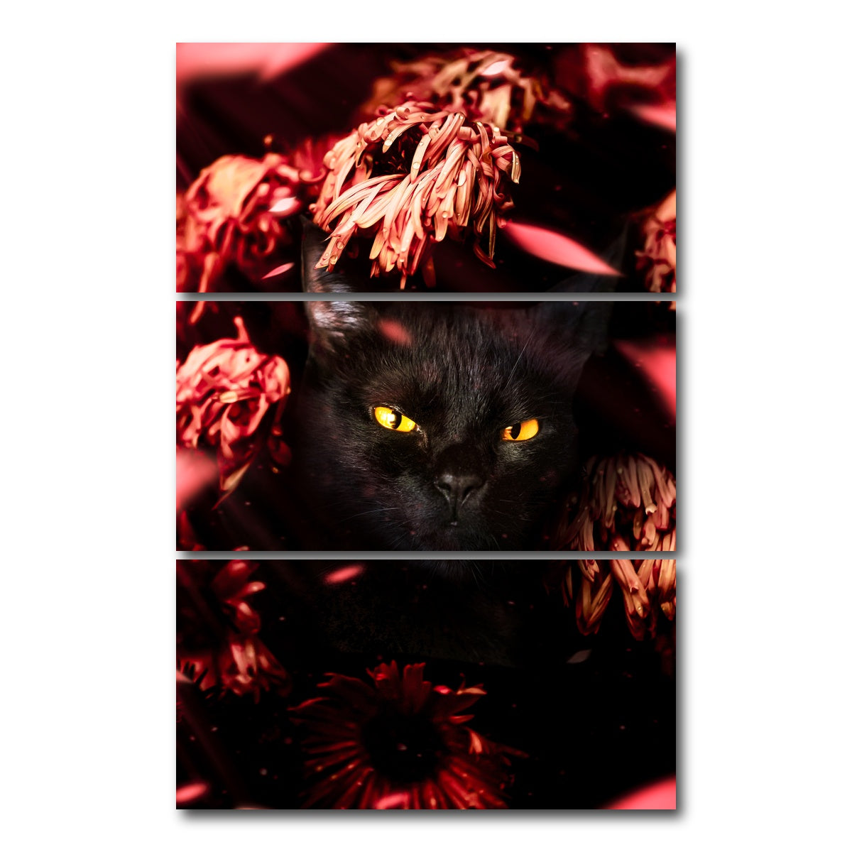 AUTO-MOCKUP WHITE | cat black petals | 3 Piece | Gallery Wrap Canvas | group=12x24_stacked