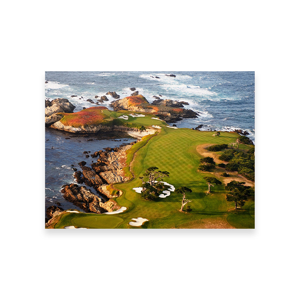 Cypress Point Wall Art