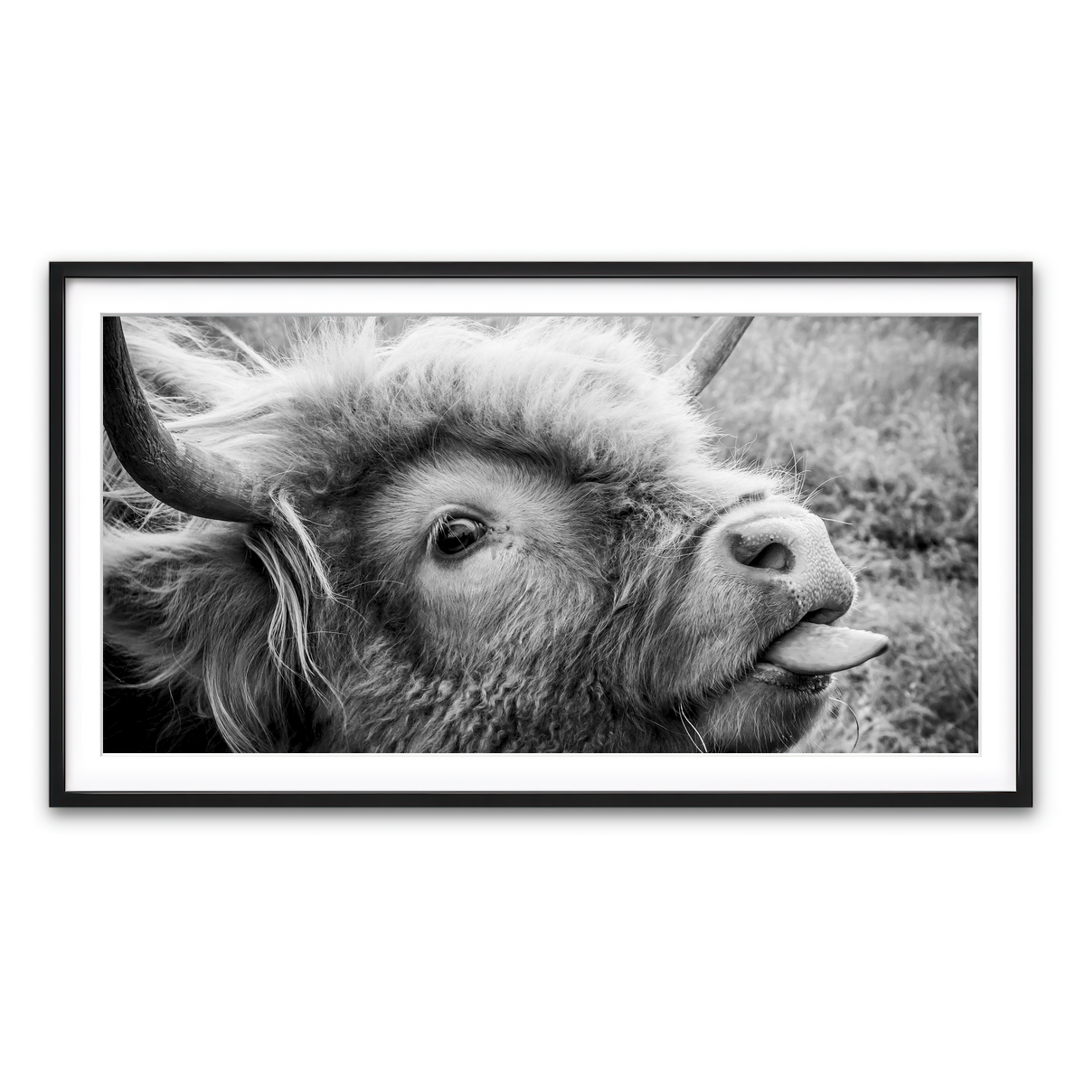Framed Print 2x1 Black