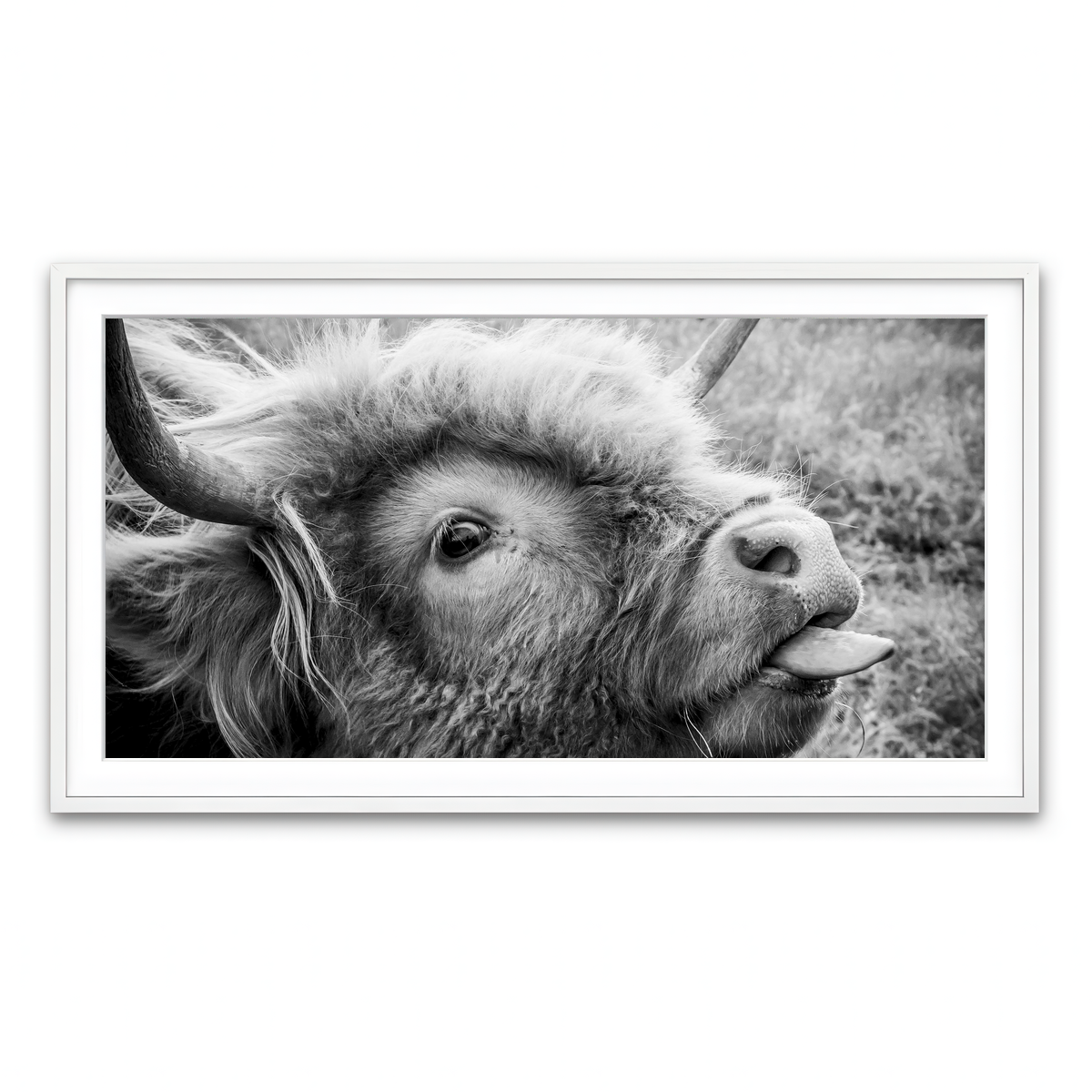 Framed Print 2x1 White