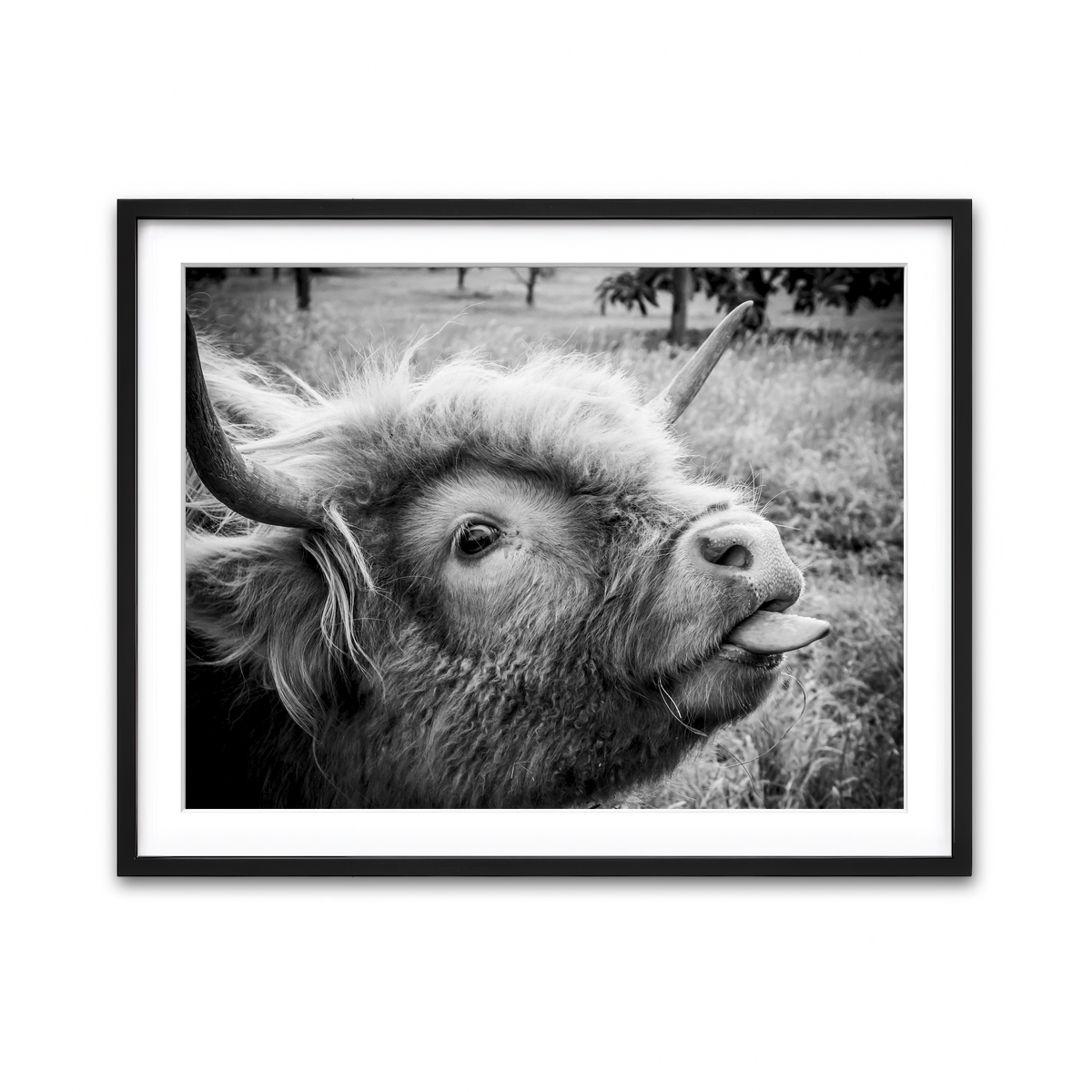 Framed Print 4x3 Black