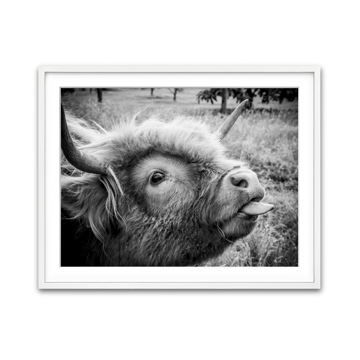 Framed Print 4x3 White