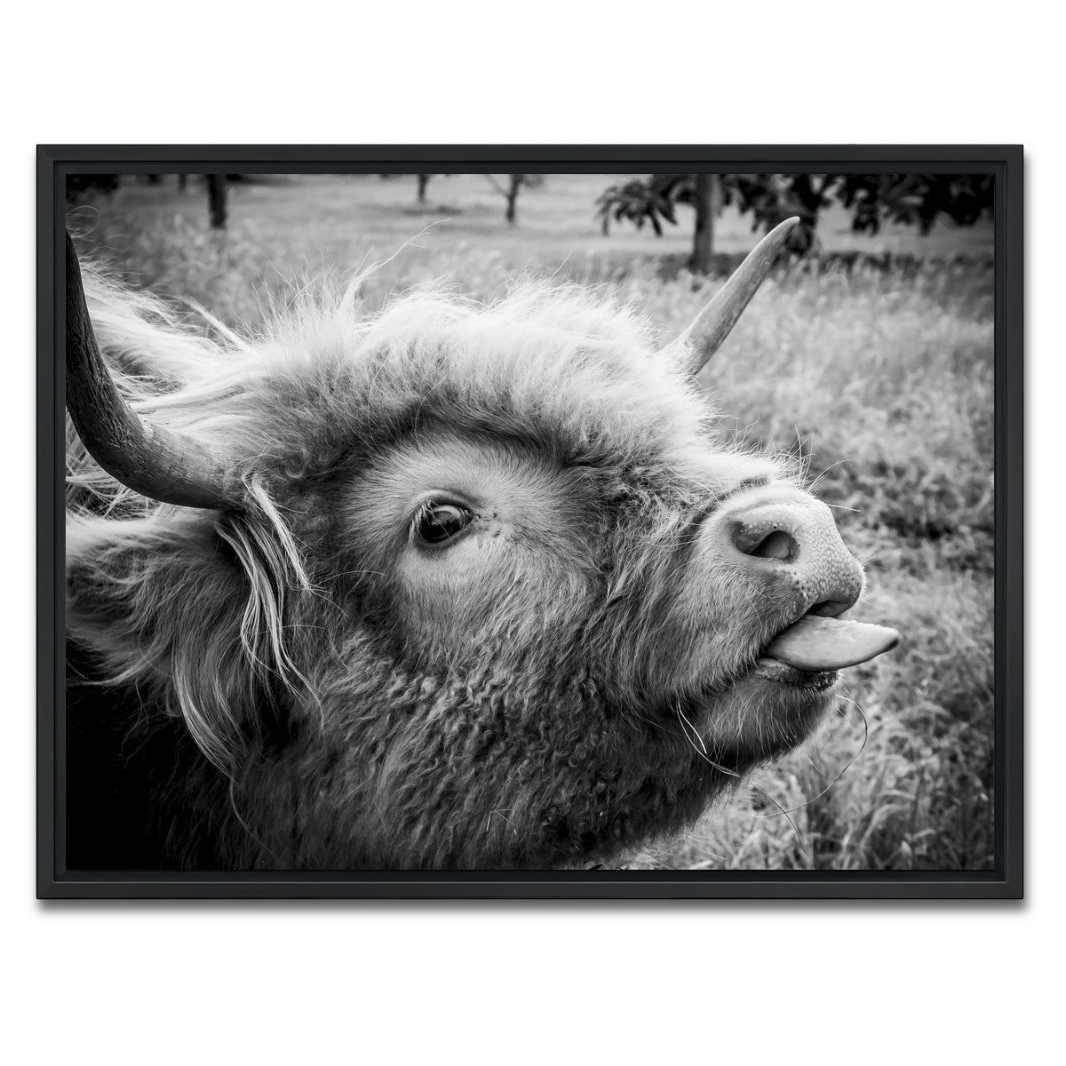 AUTO-MOCKUP WHITE | funny cow | 1 Piece | Black Framed Canvas | group=4x3